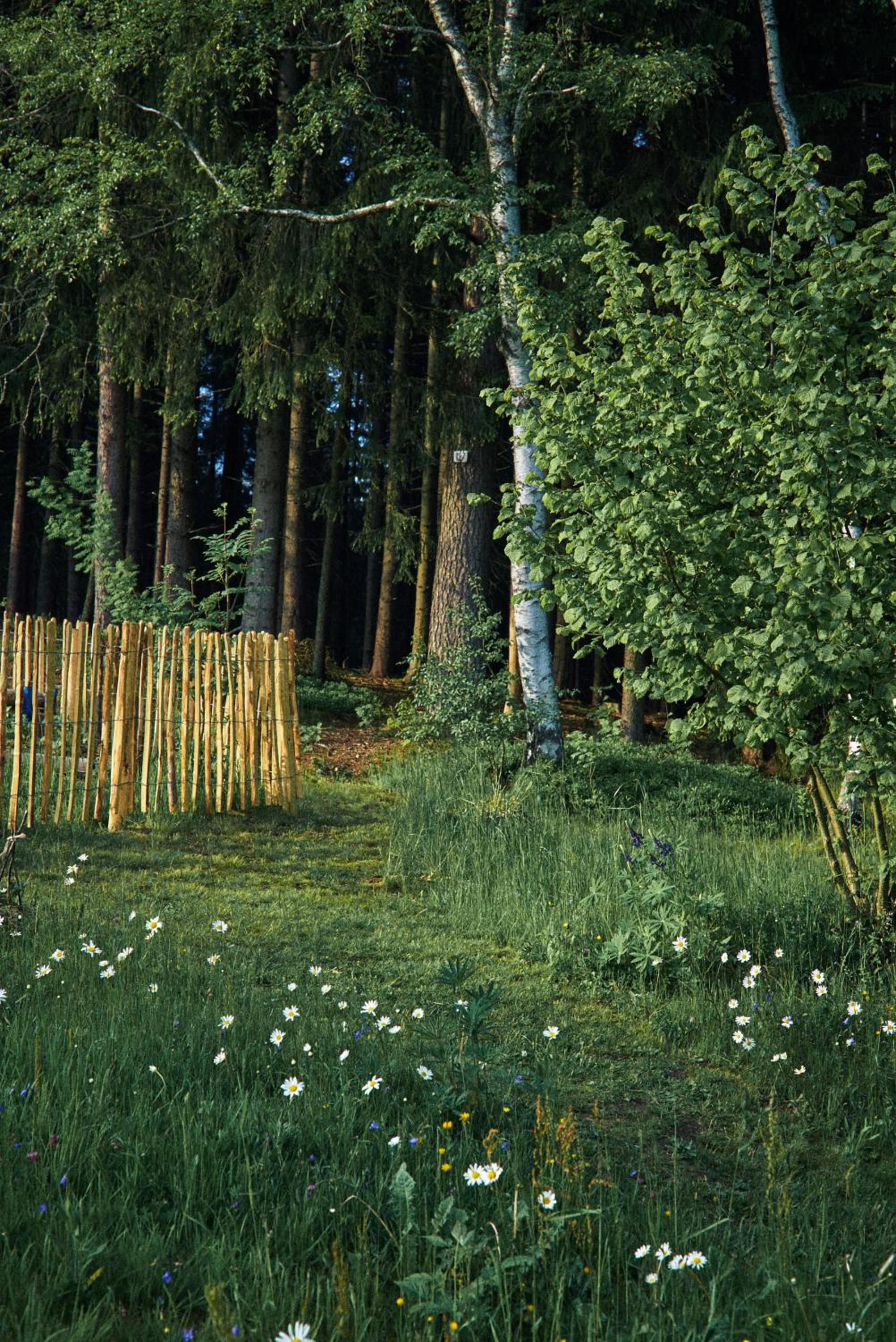 Photo 26