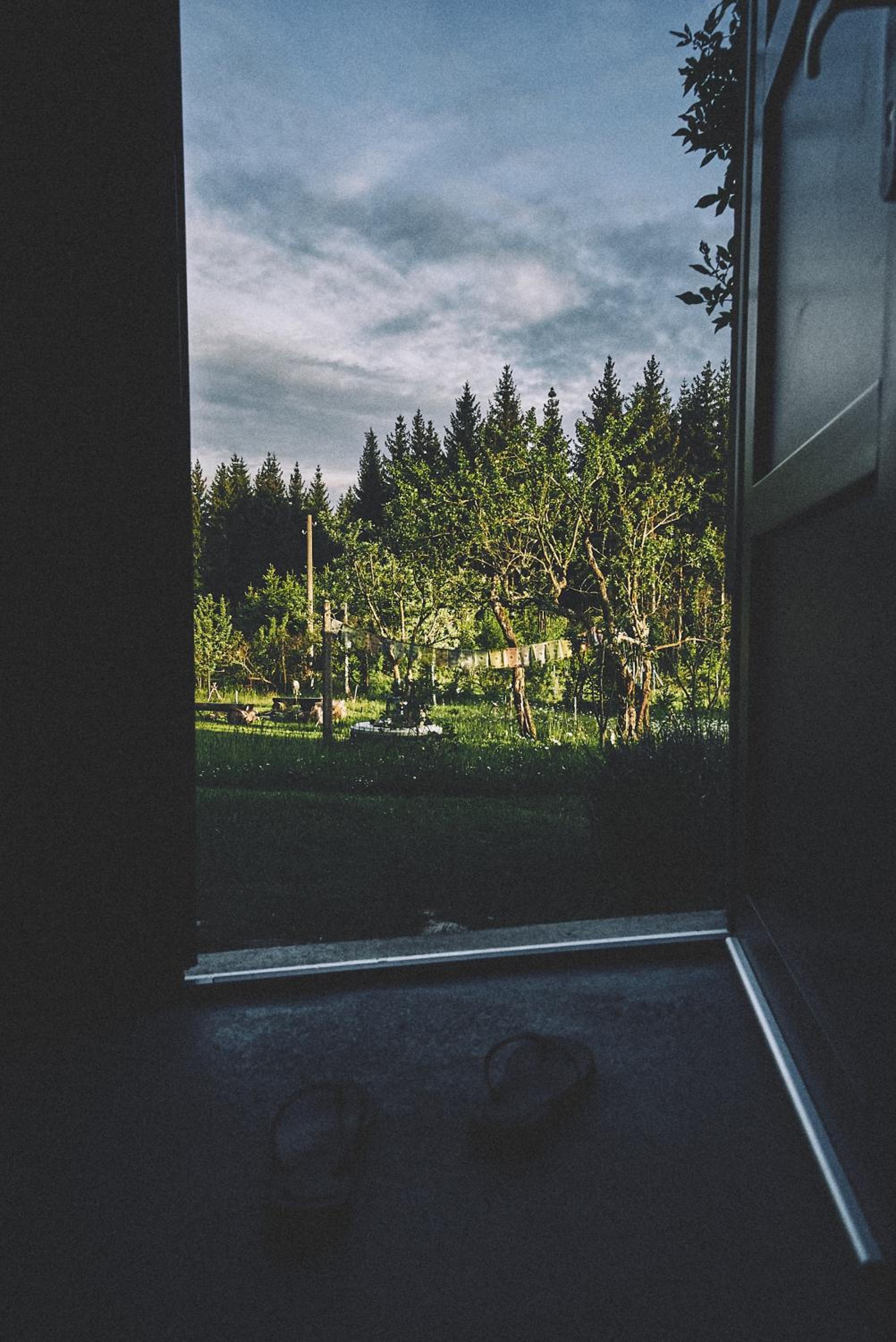 Photo 45
