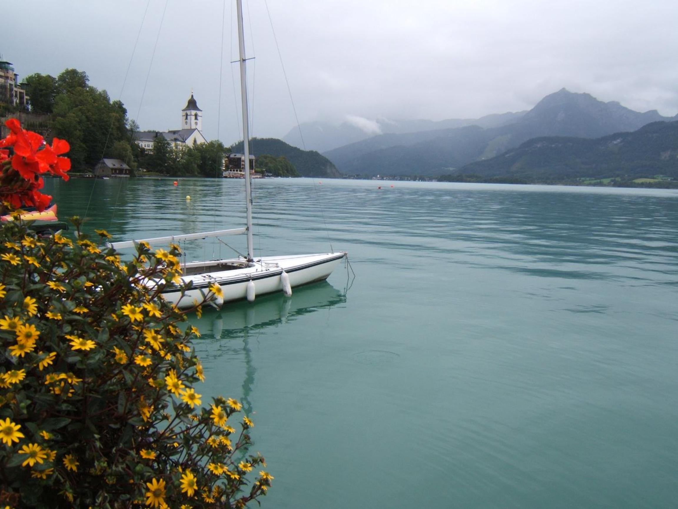 Photo 45