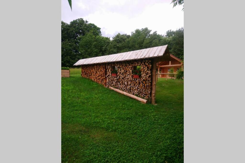 Photo 22
