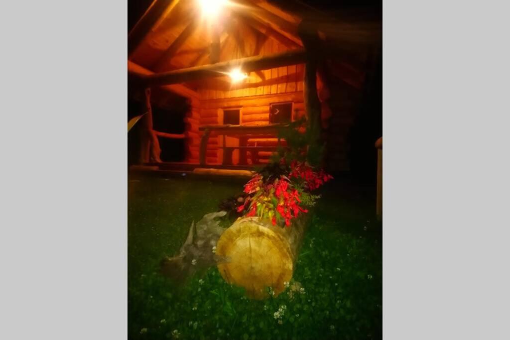 Photo 28