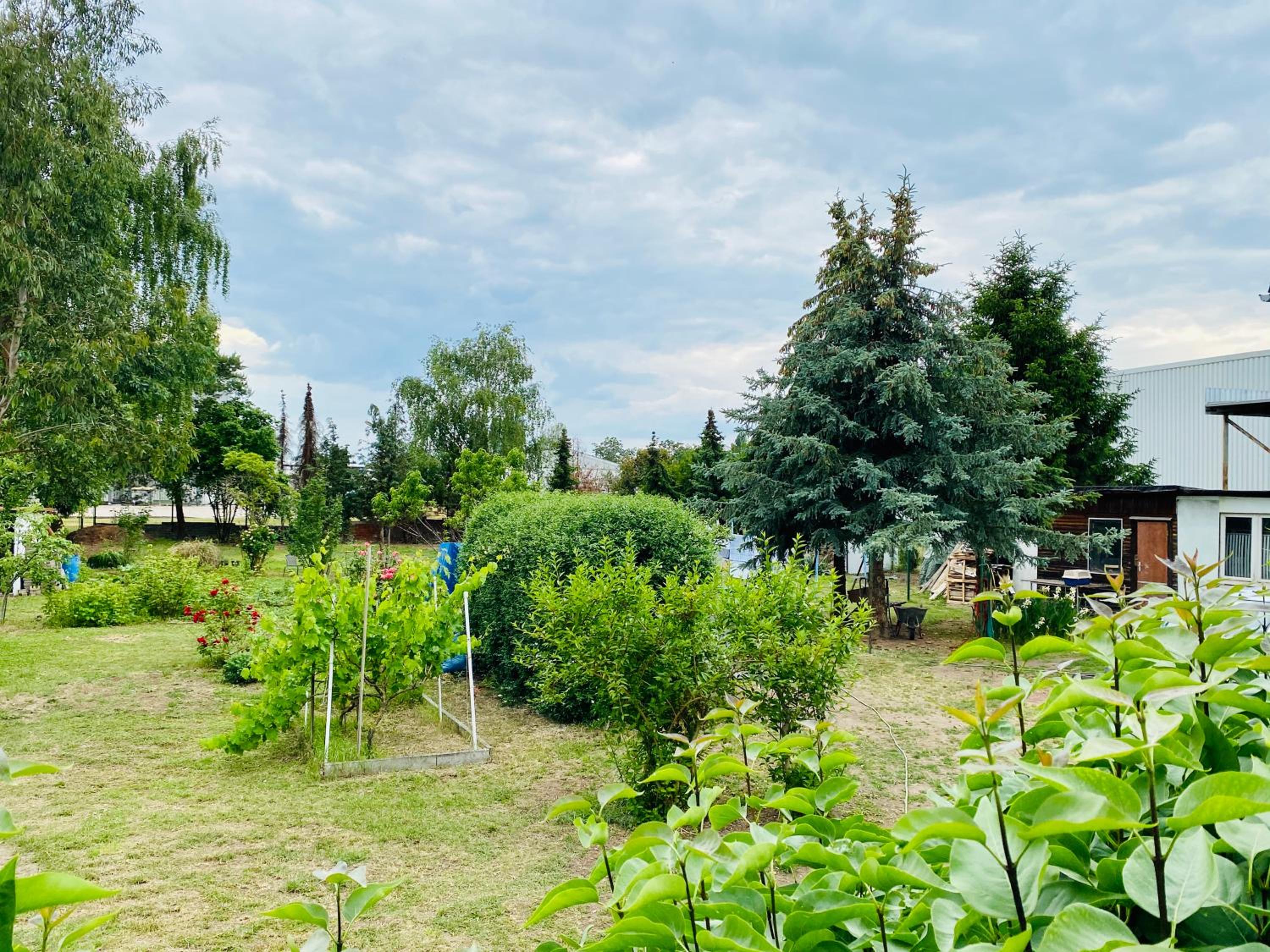 Pension Florion view 4