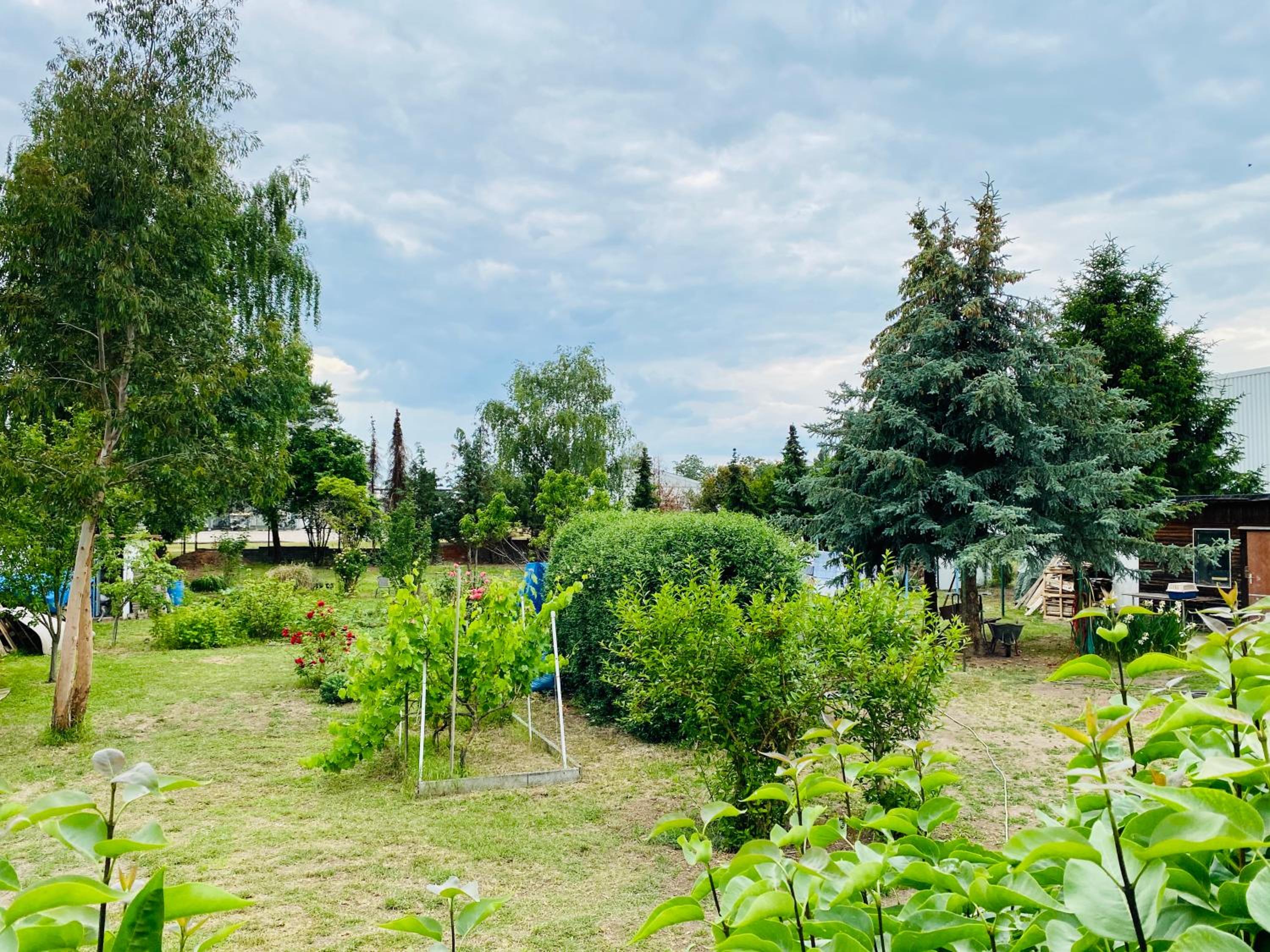 Pension Florion view 5