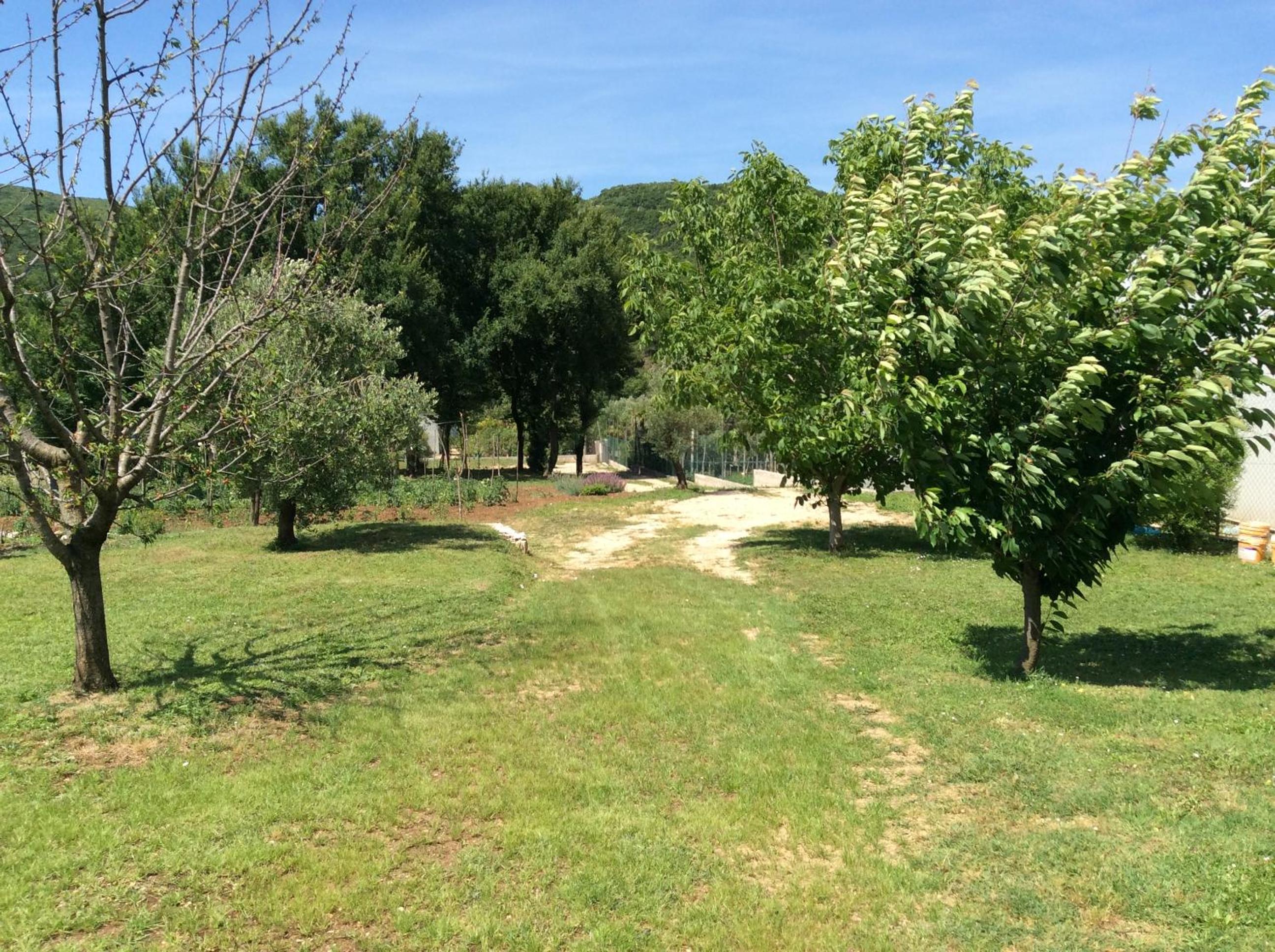 Photo 25