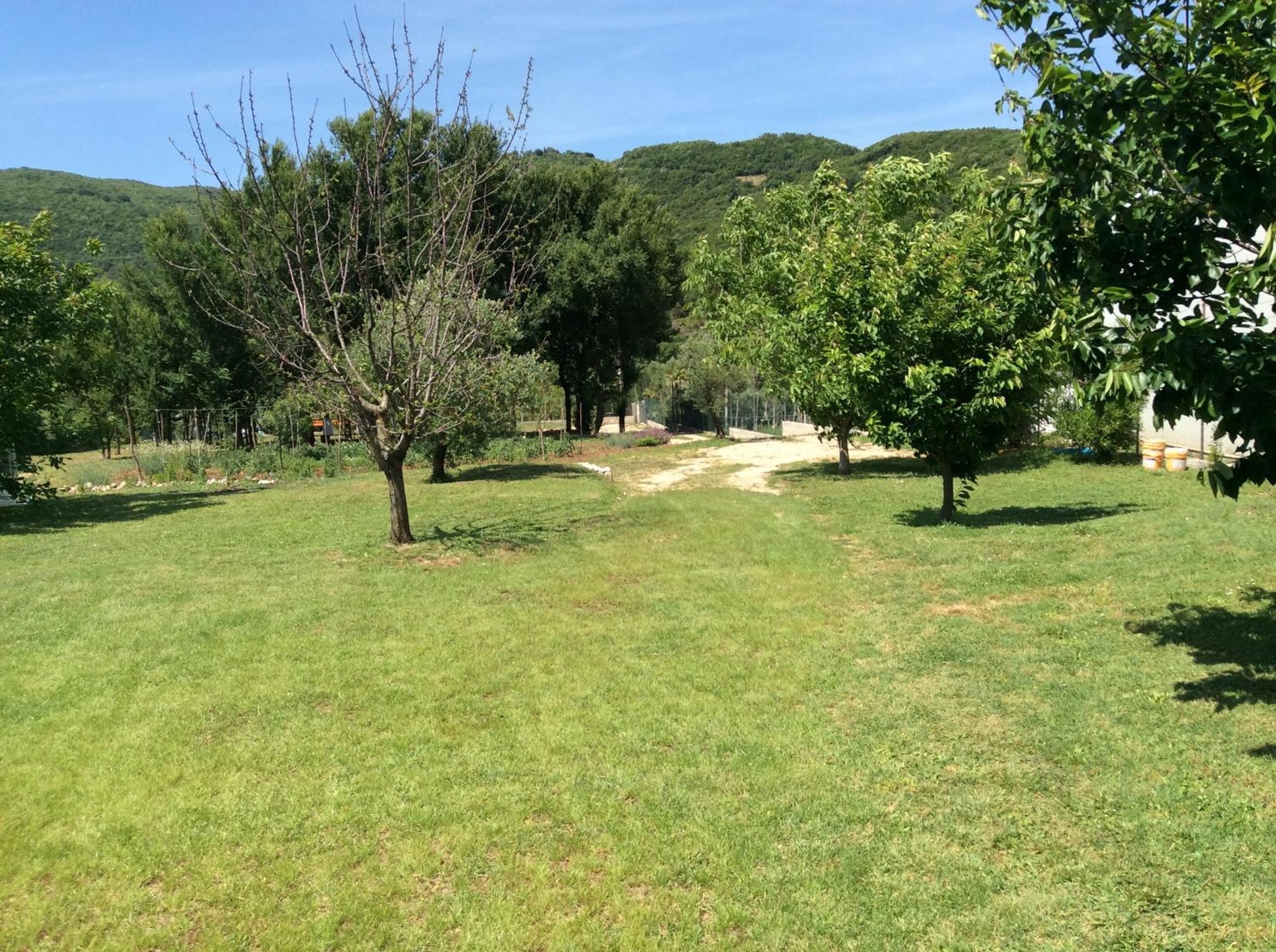 Photo 26