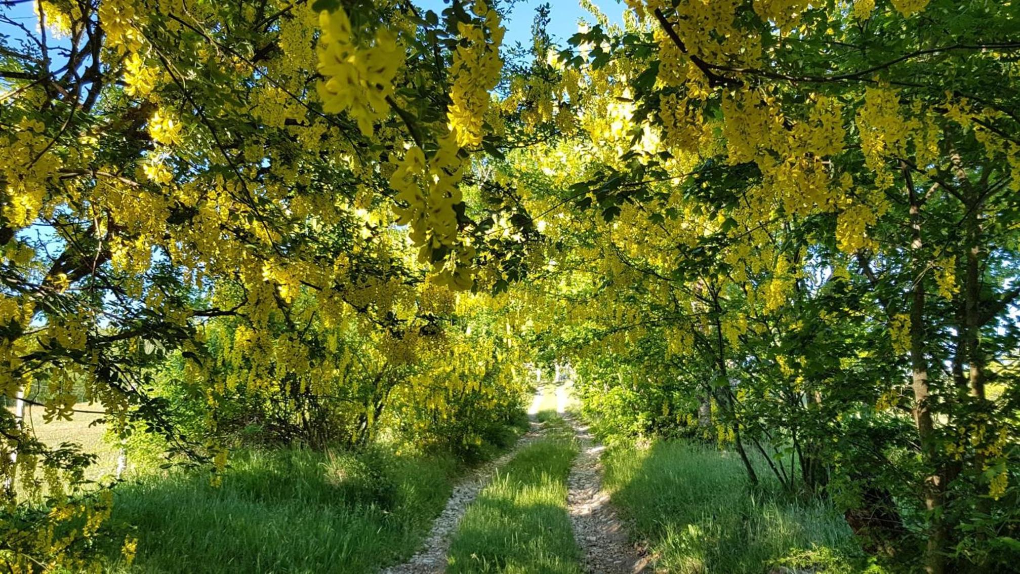 Agriturismo Fattoria Ca Di Sole