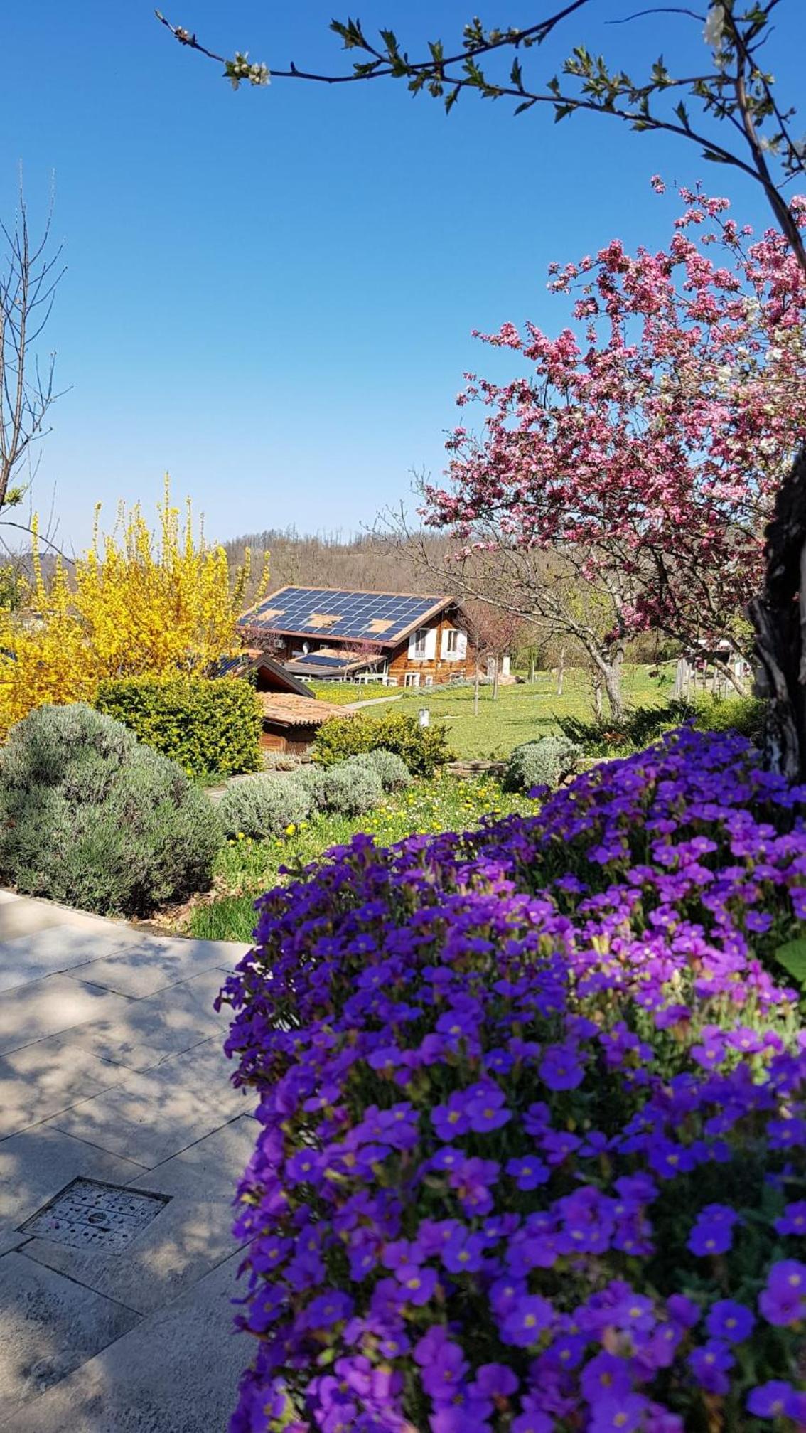 Agriturismo Fattoria Ca Di Sole