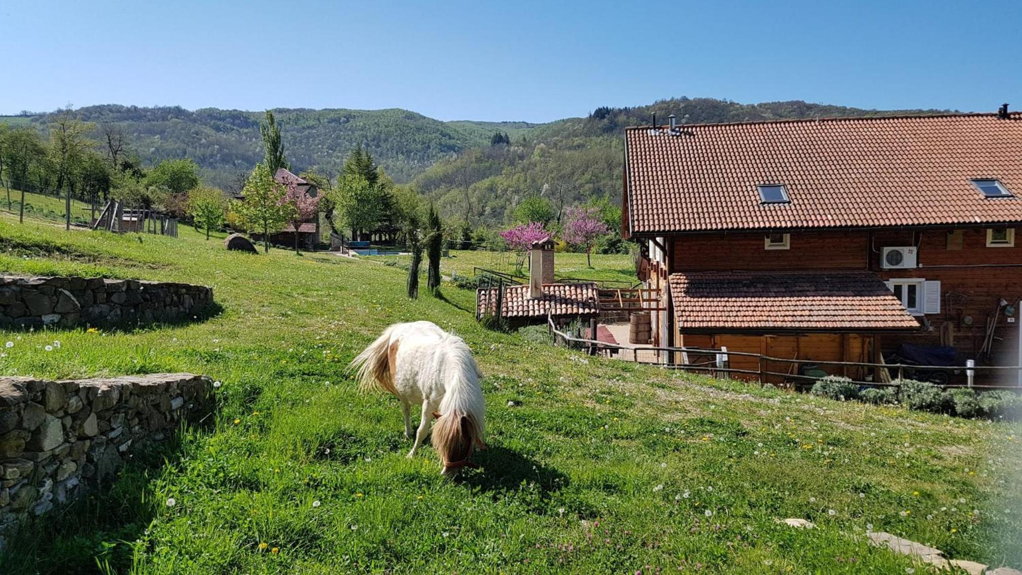 Agriturismo Fattoria Ca Di Sole