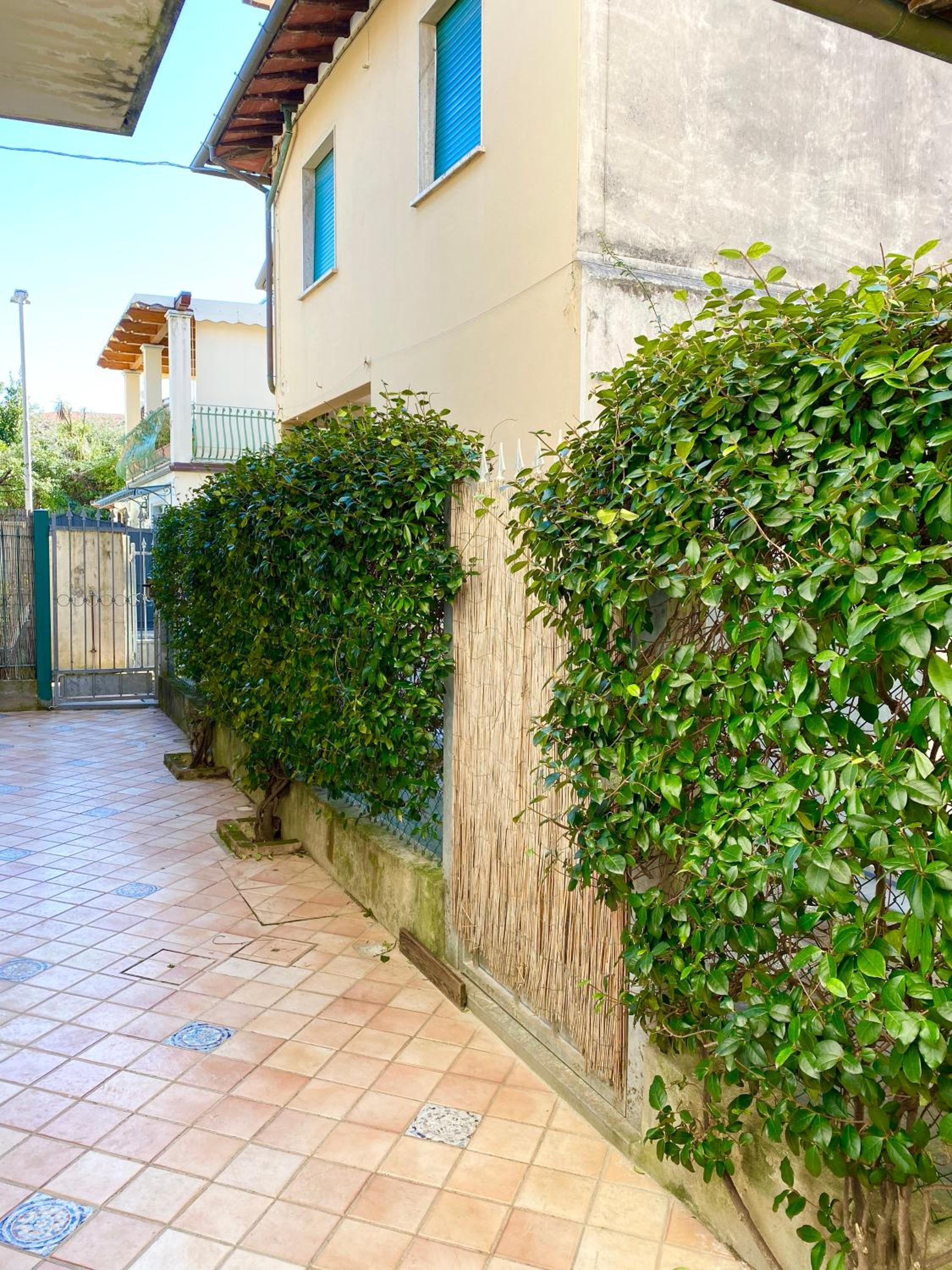 Peace Nest Forte dei Marmi view 4