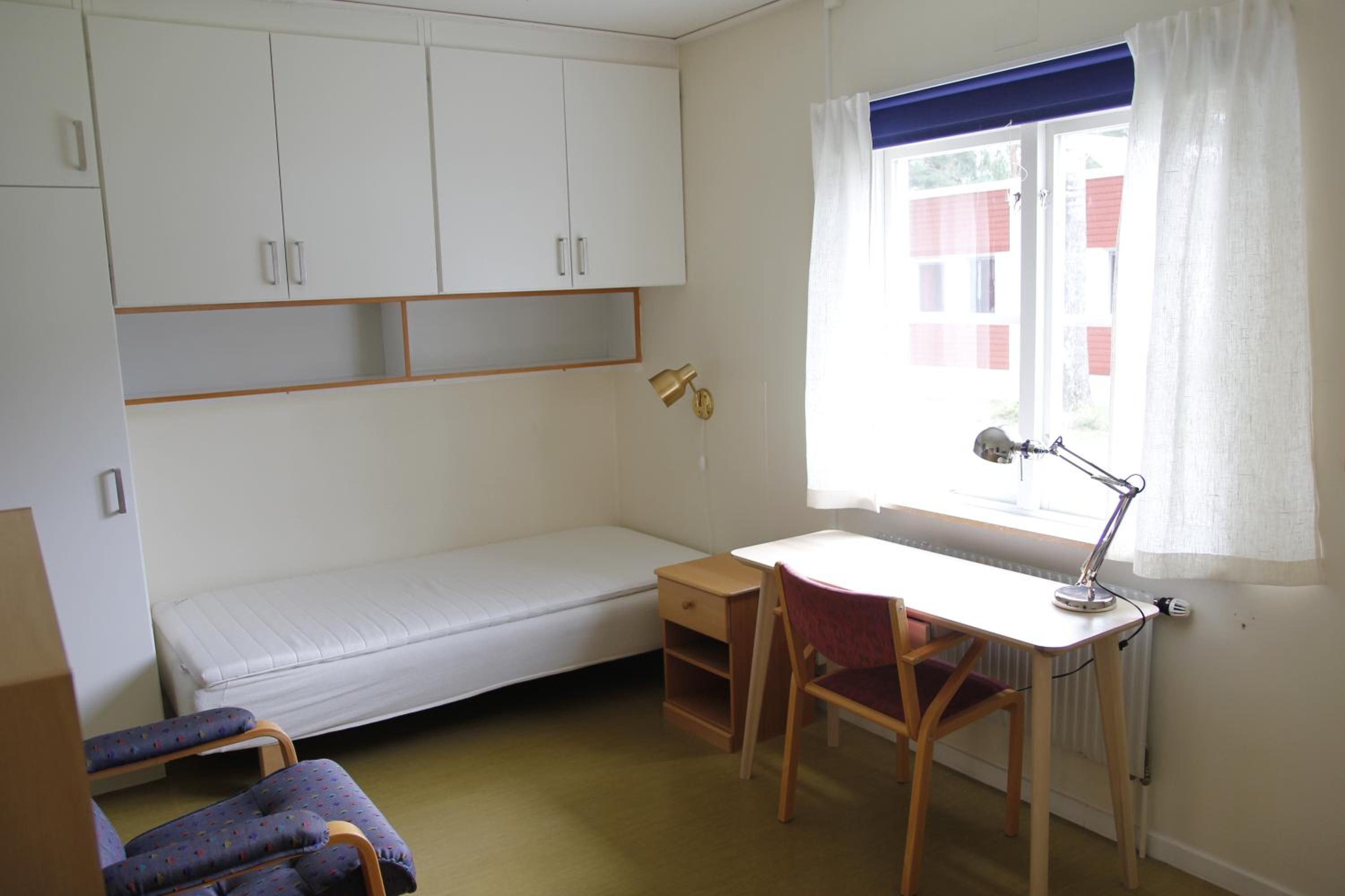 Photo 11