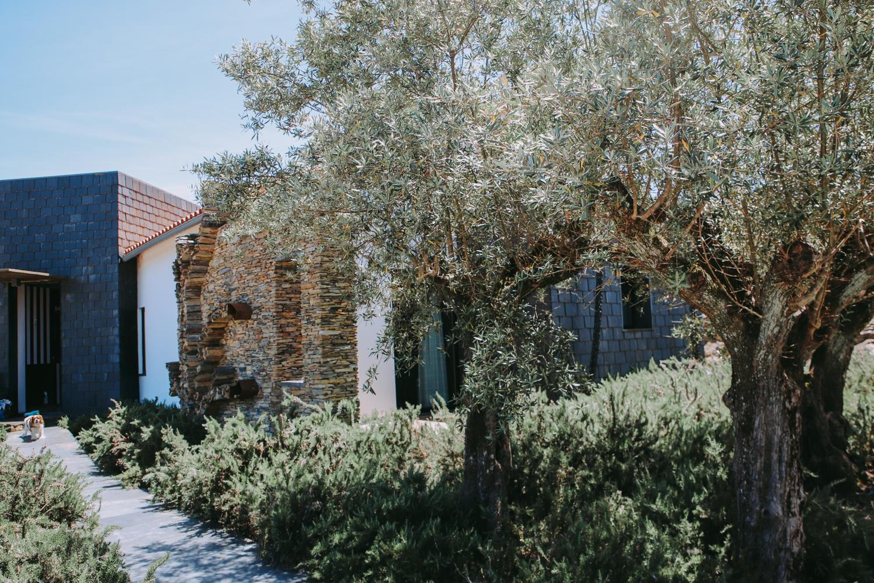 Hotel Casas da Fontanheira - Image 1