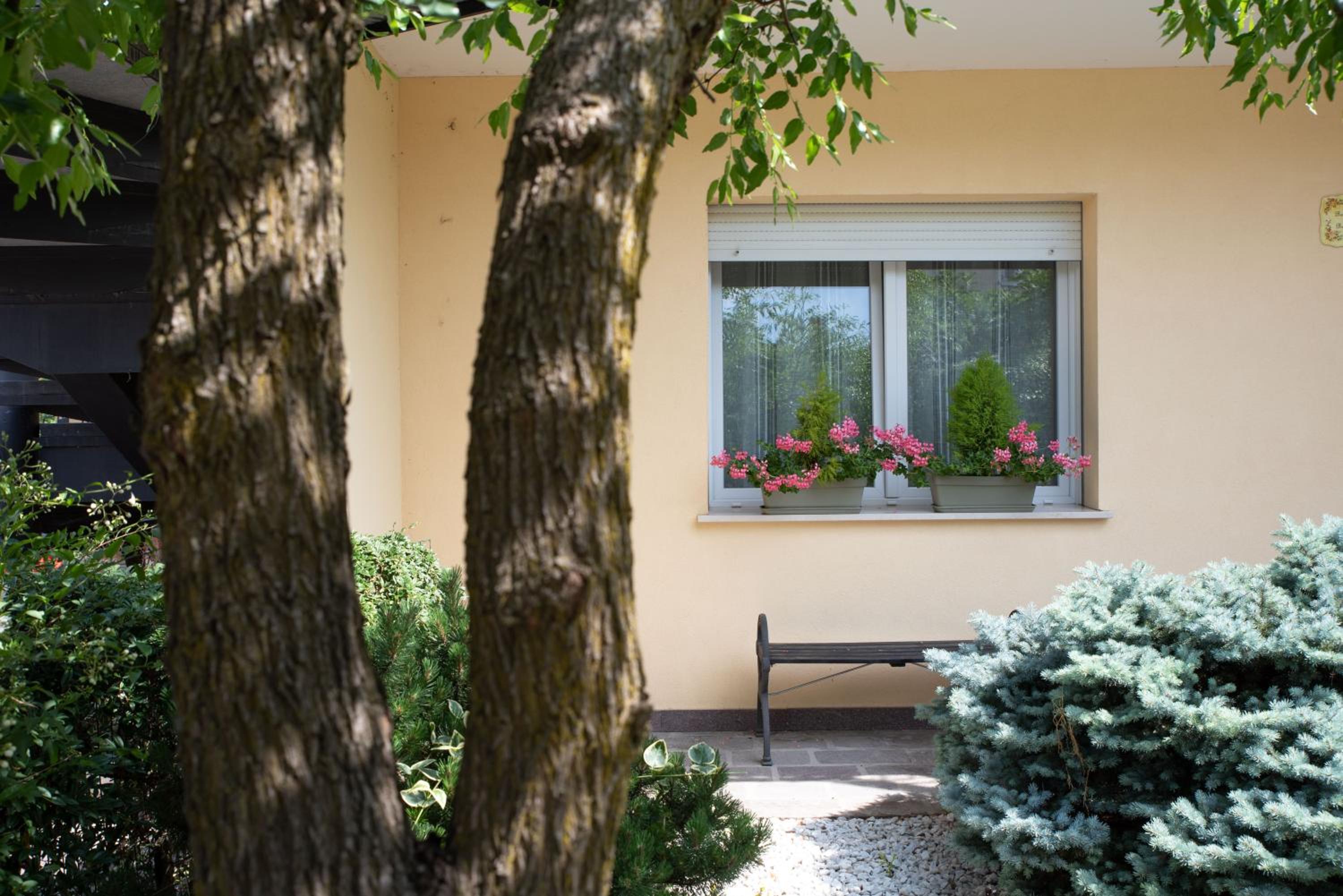 B&B BrentaGiardino view 2