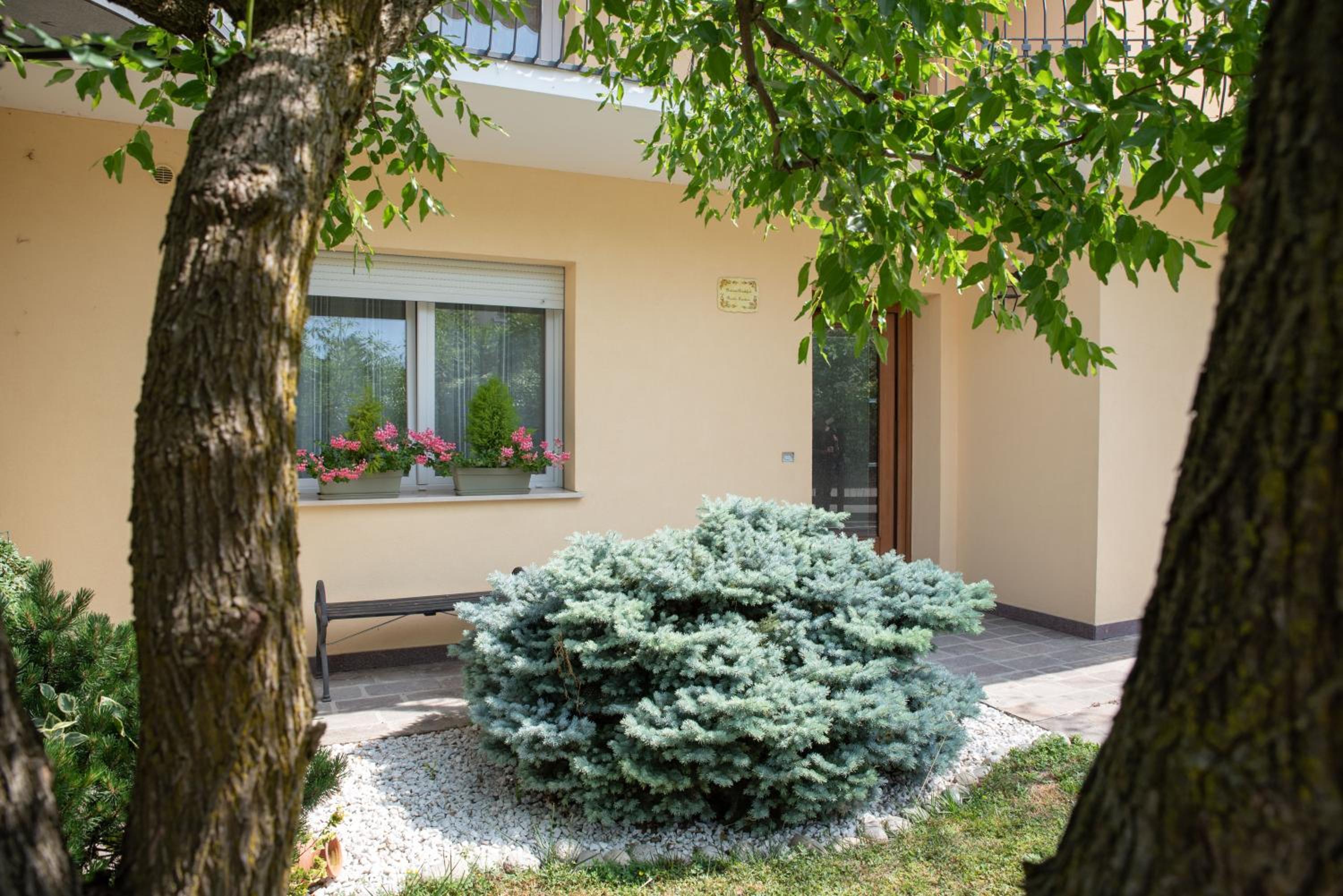B&B BrentaGiardino view 3