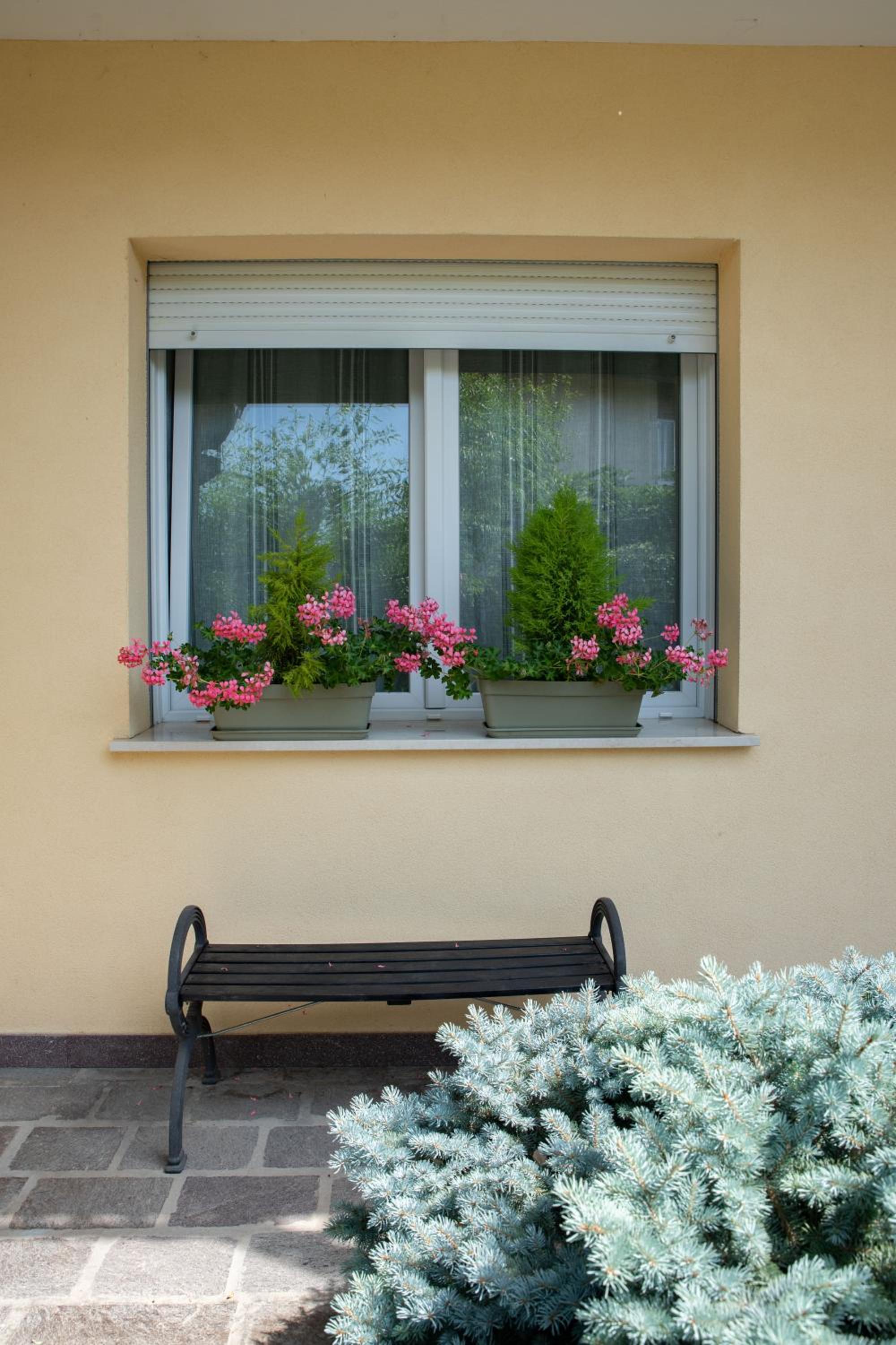 B&B BrentaGiardino view 5