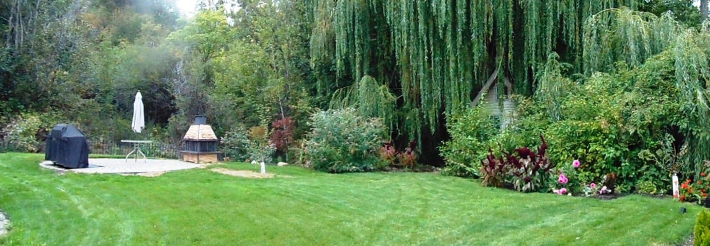 Steller Jay Hollow