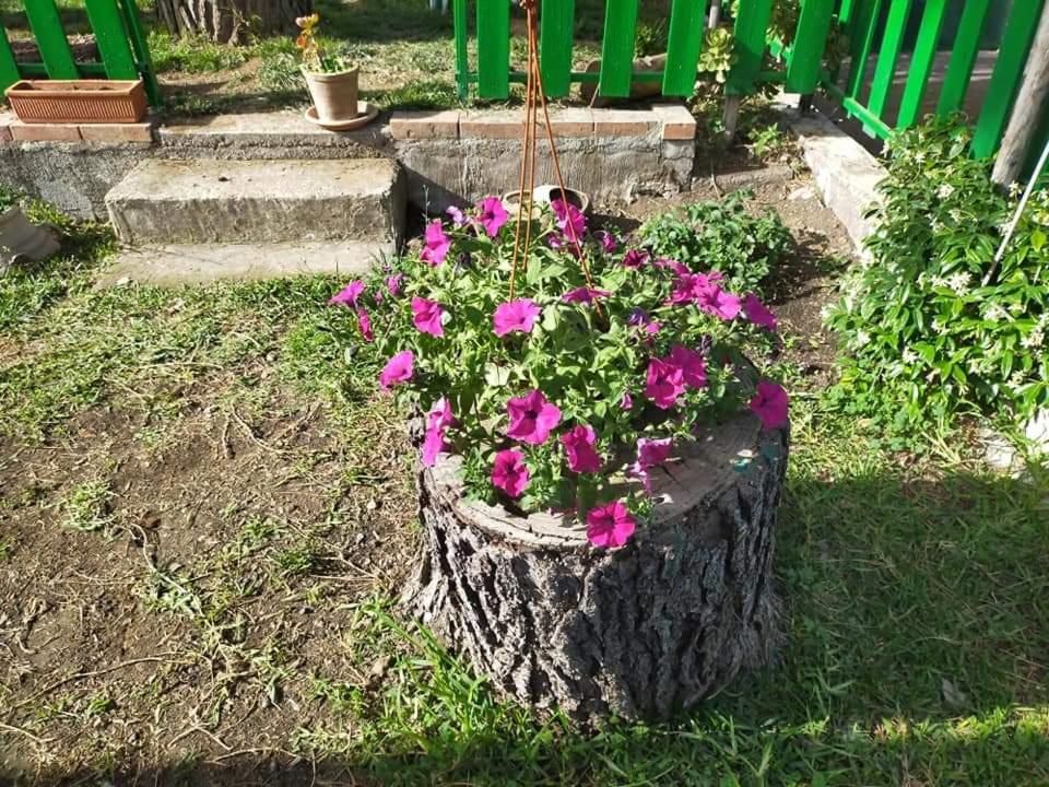 Photo 31