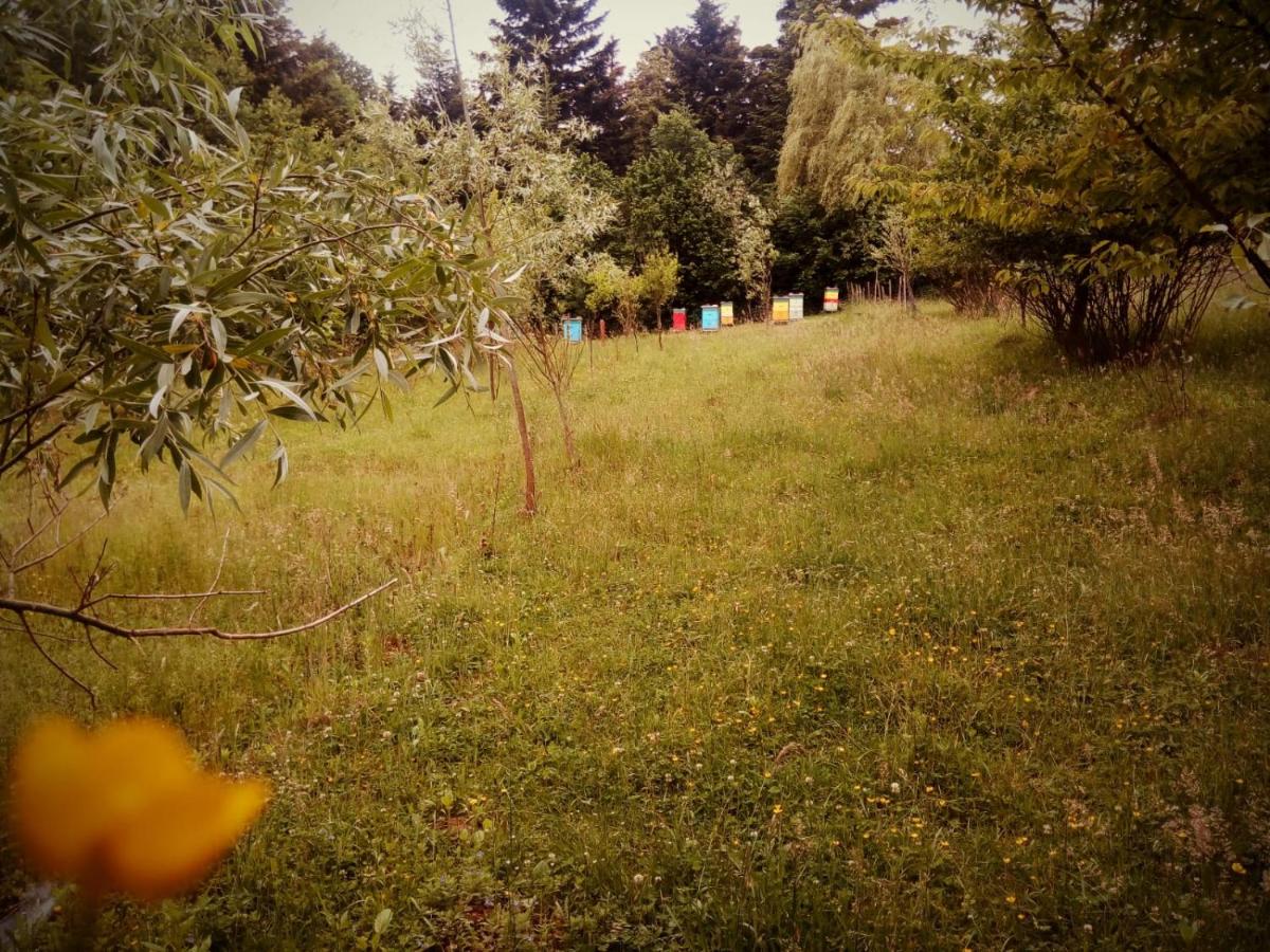Photo 26