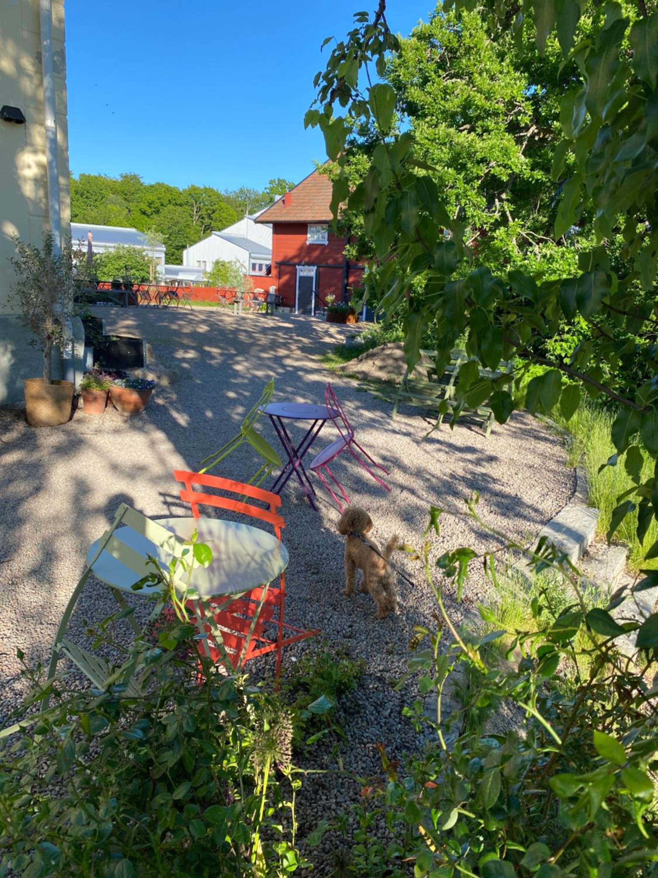 Café Mandeltårtan B&B VillaFloraViola