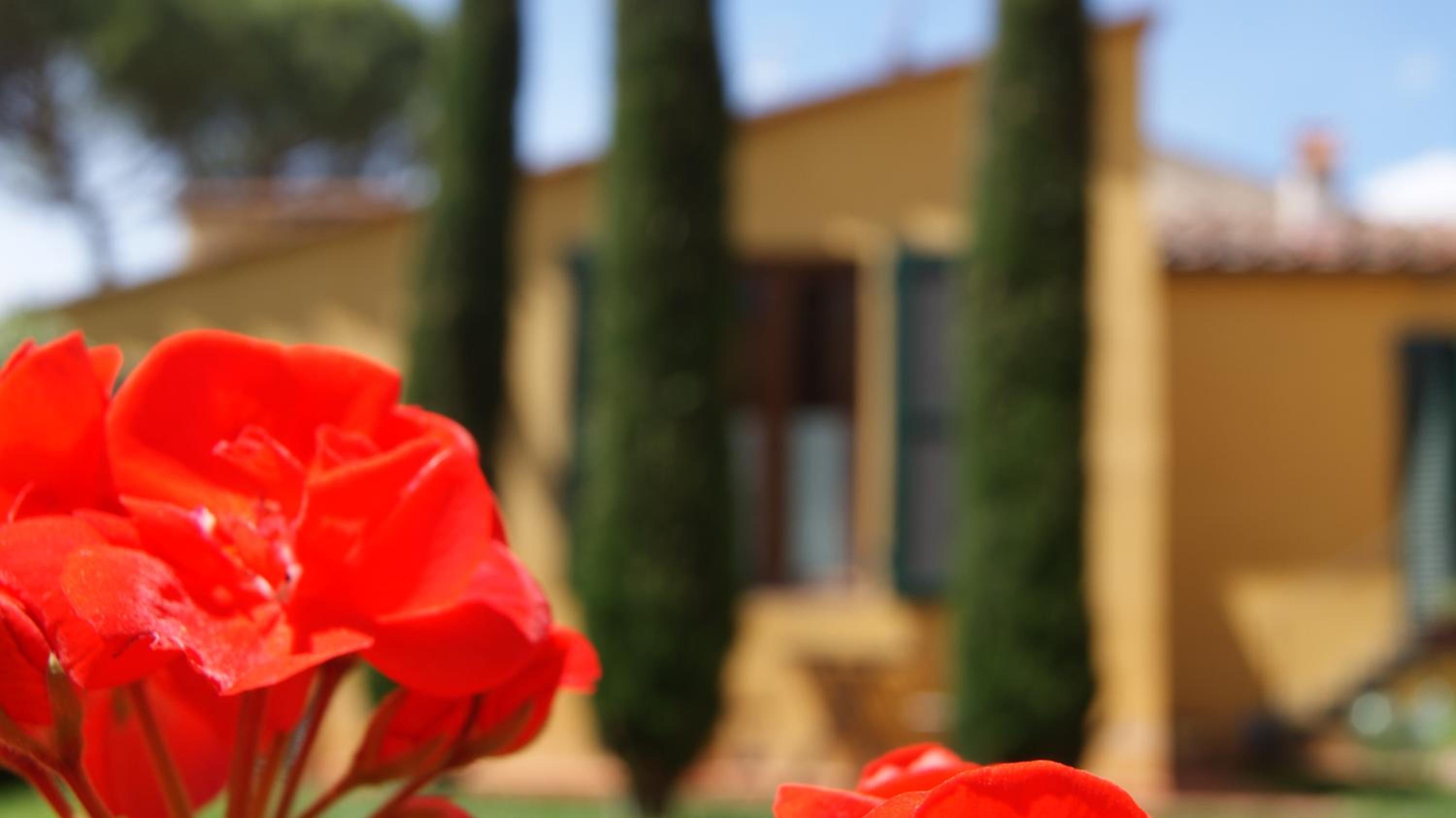 Al Canto B&B