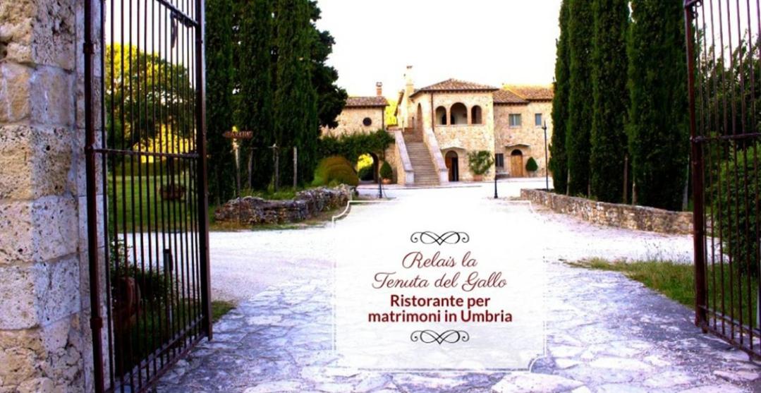 Tenuta Del Gallo view 2