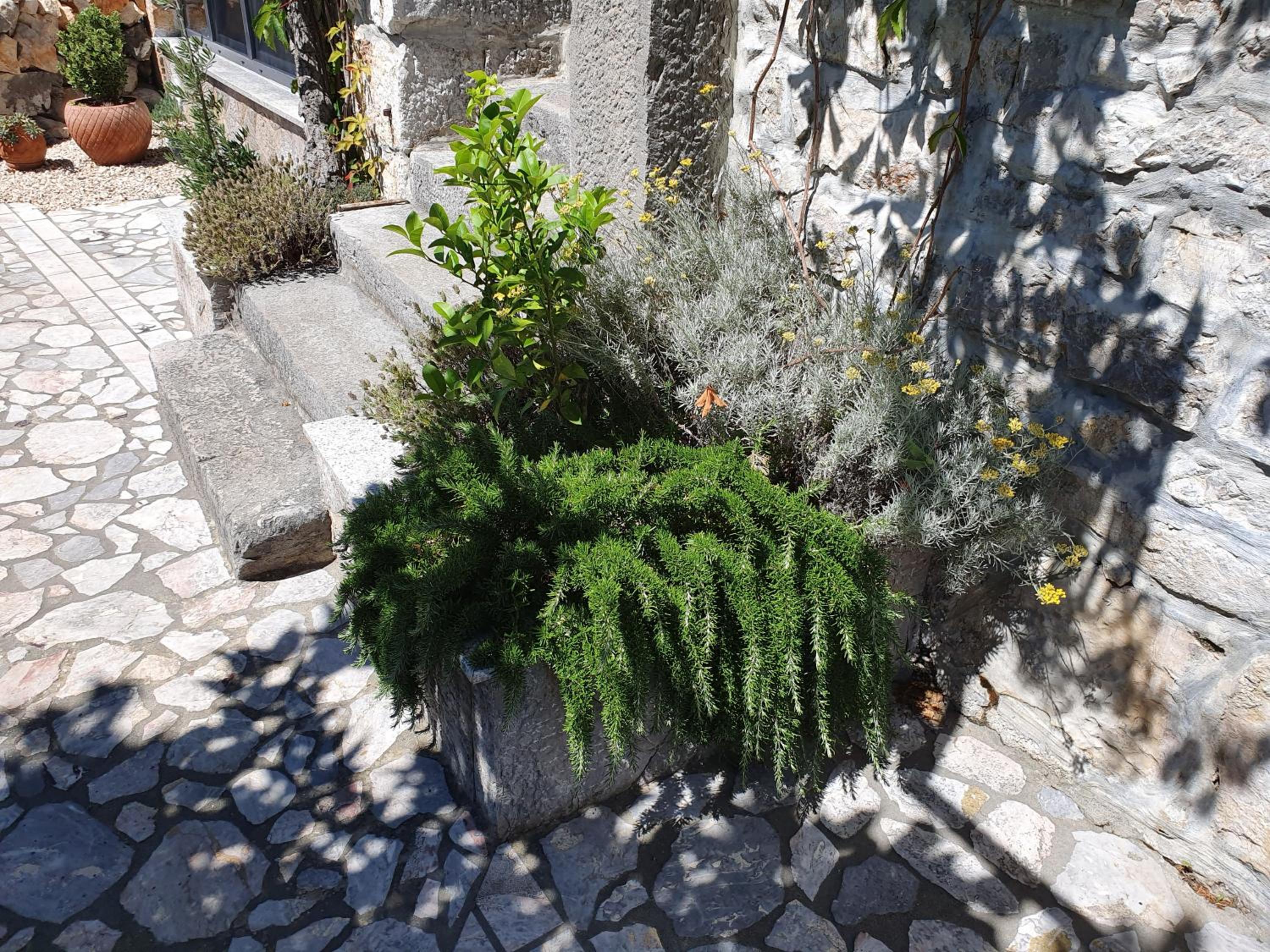Photo 20