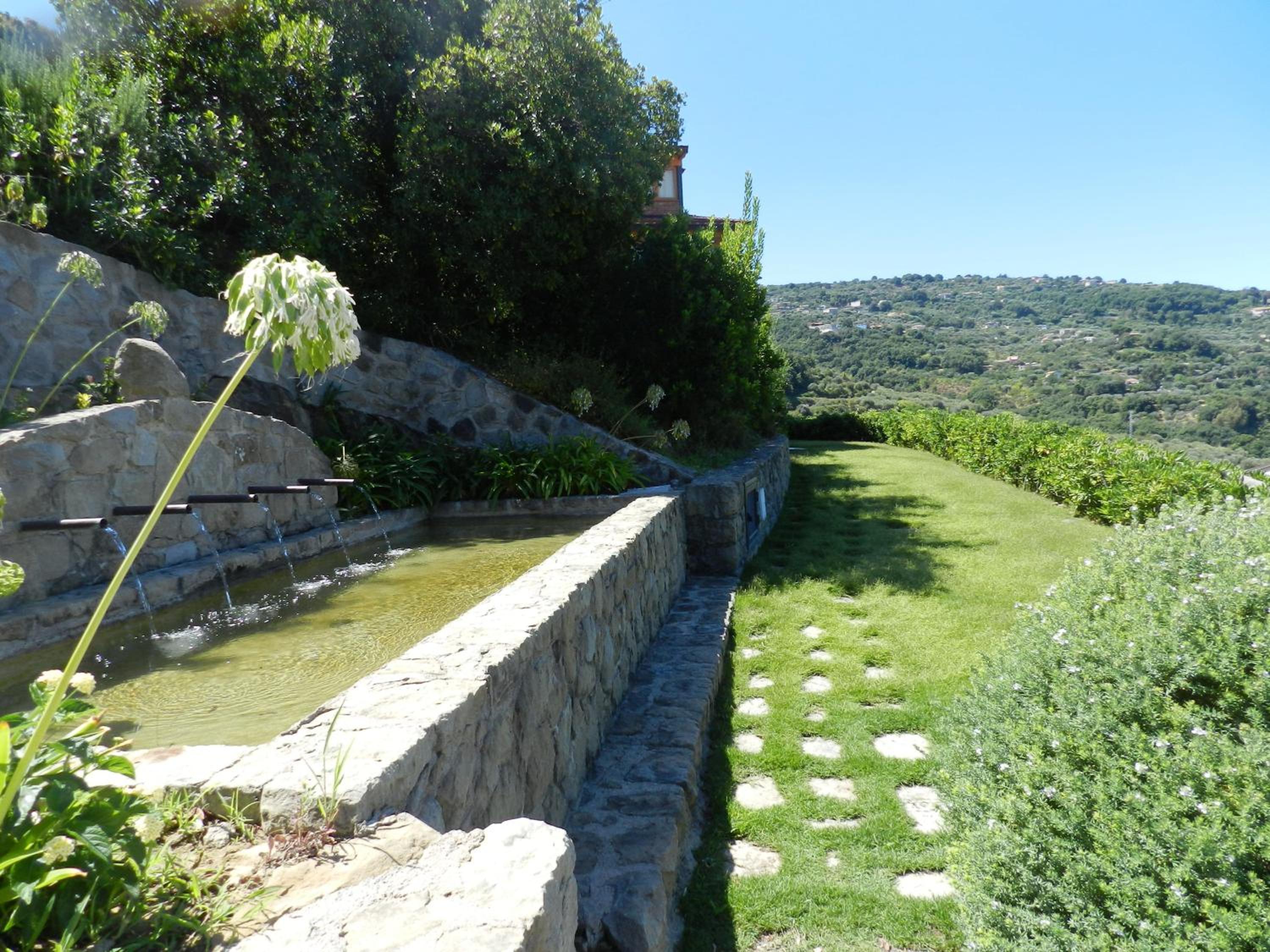 garden