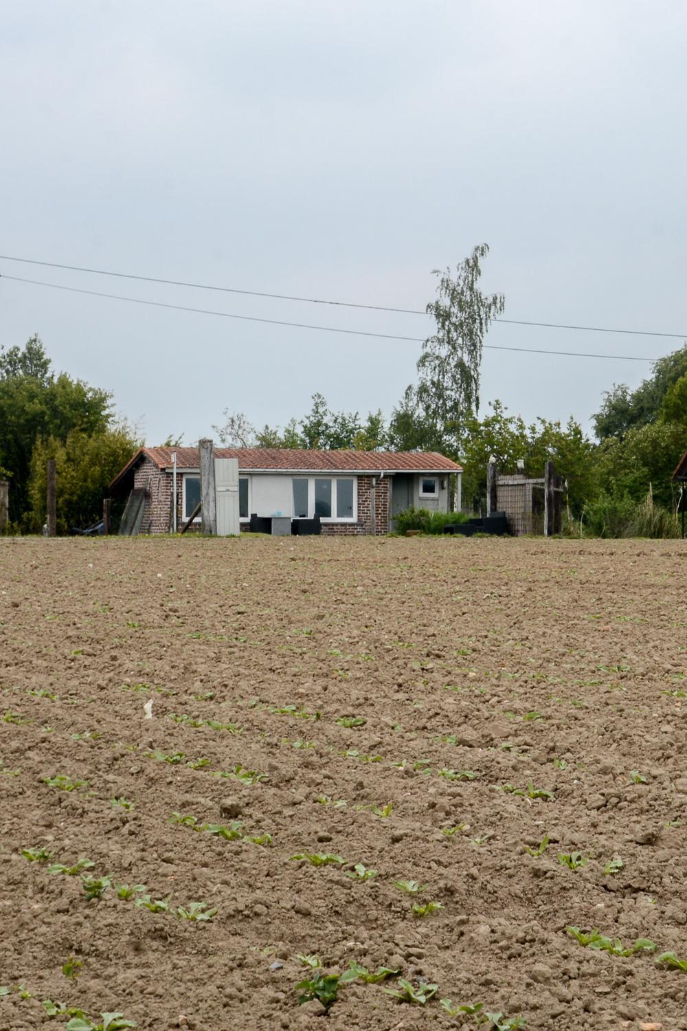 Photo 37