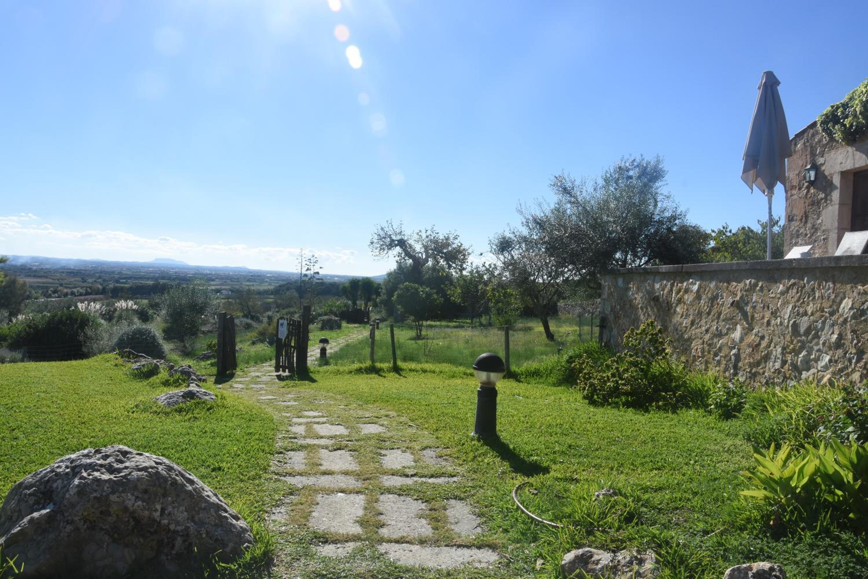 Photo 28