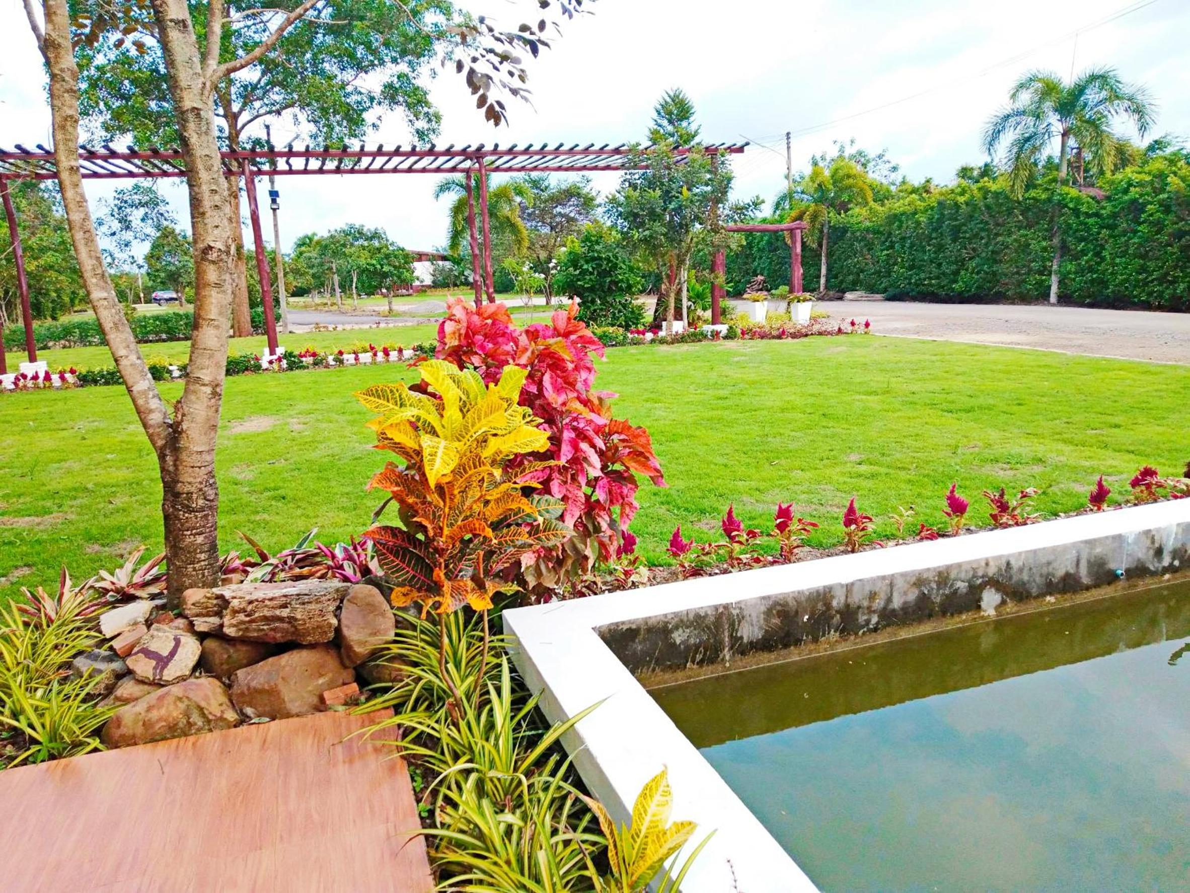 Sunflora Resort Chumphon view 5