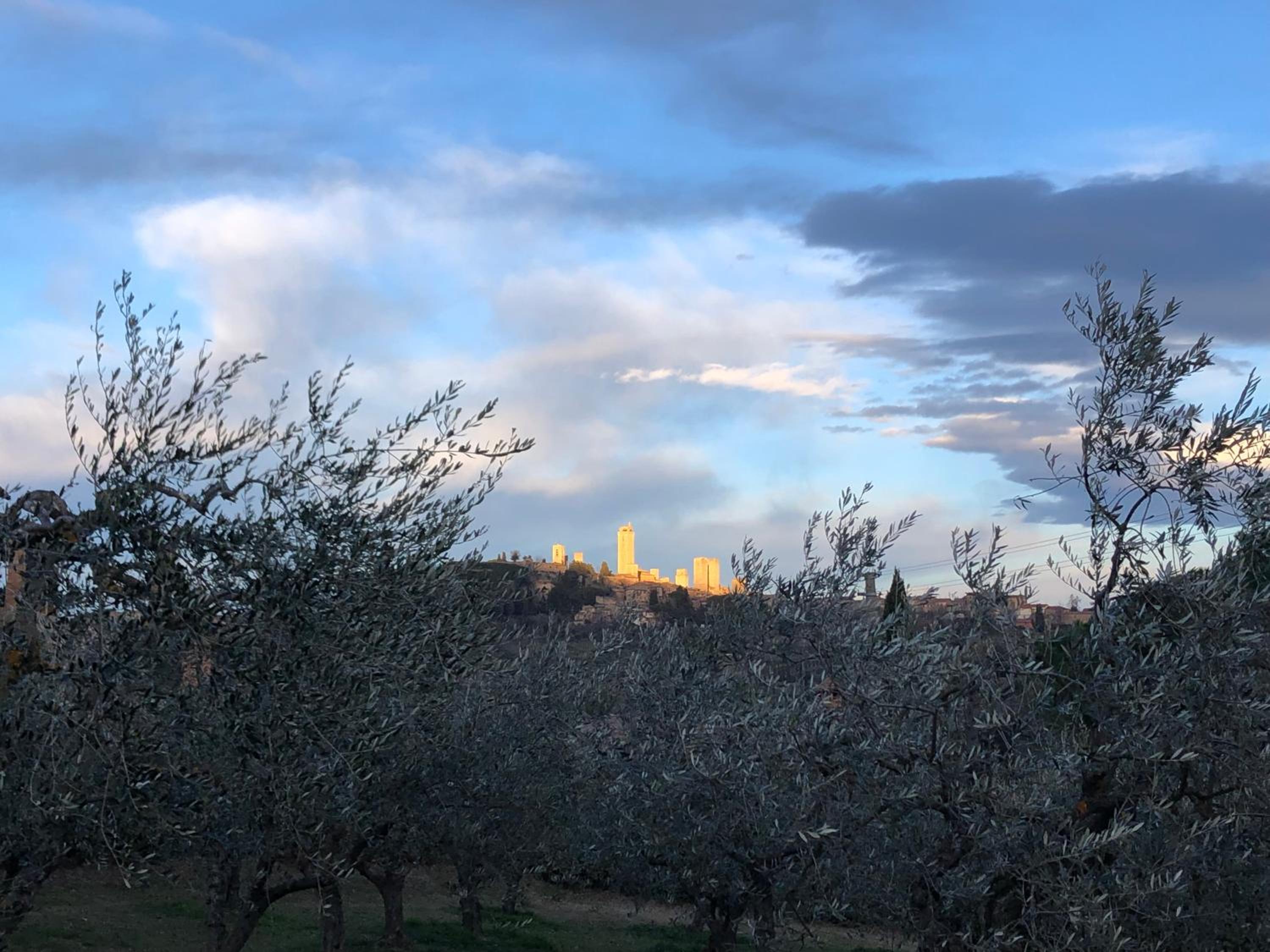Podere Bellavista