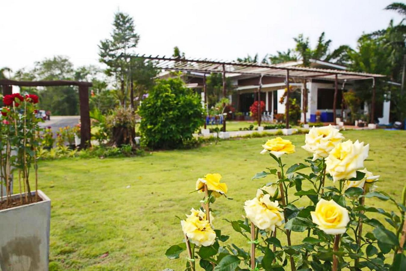 Sunflora Resort Chumphon view 4