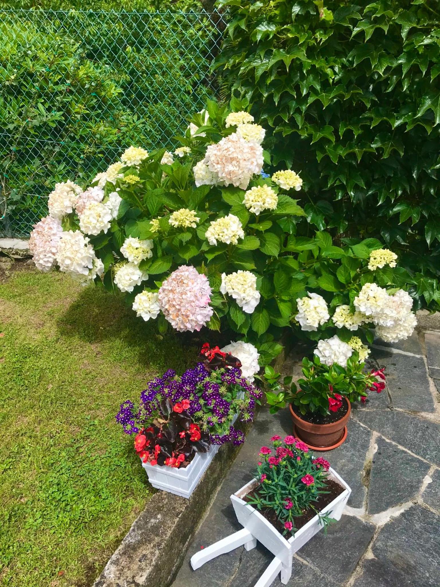 Photo 34