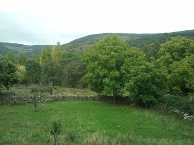 Photo 35