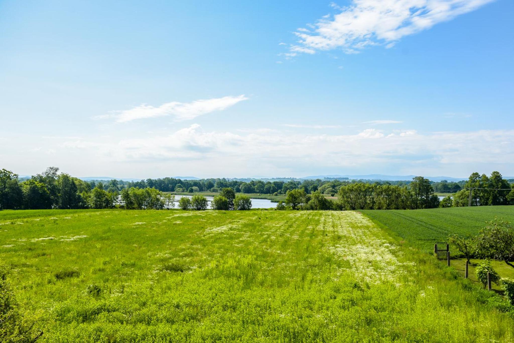 Apartamenty Pawełek view 4