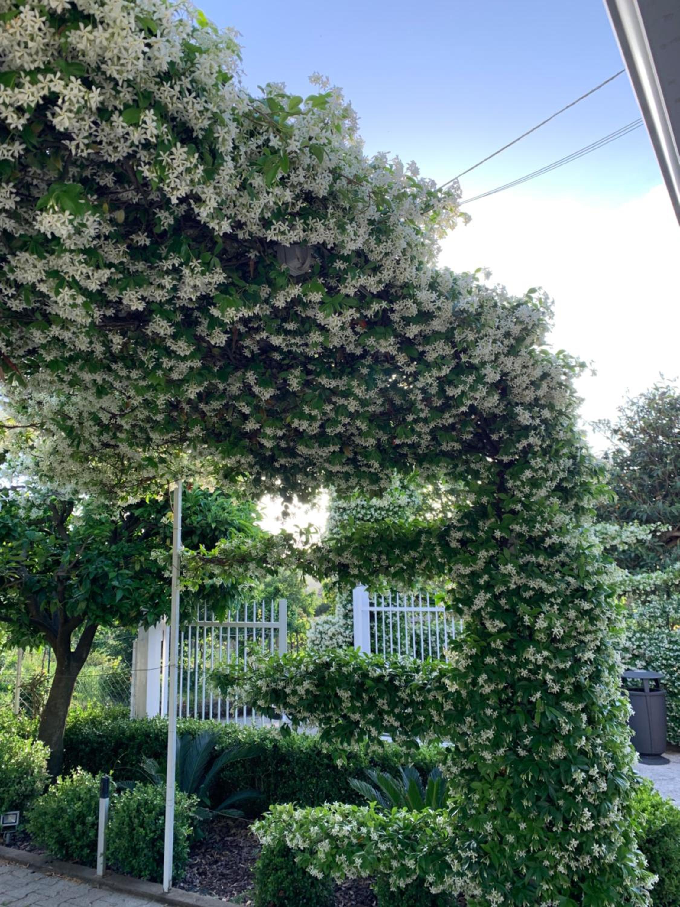 Ginger House view 4