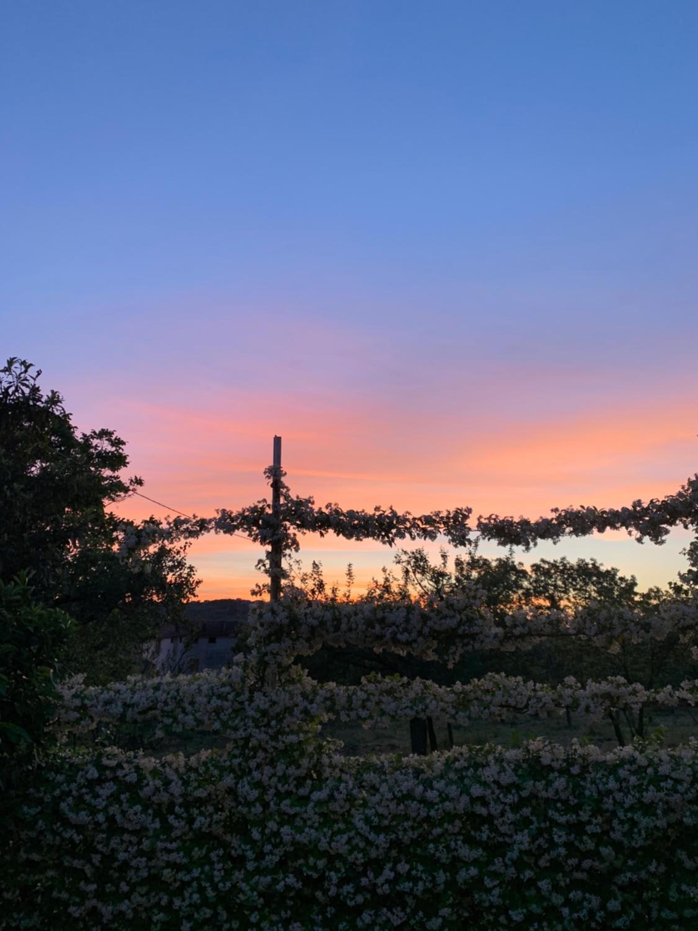 Ginger House view 3