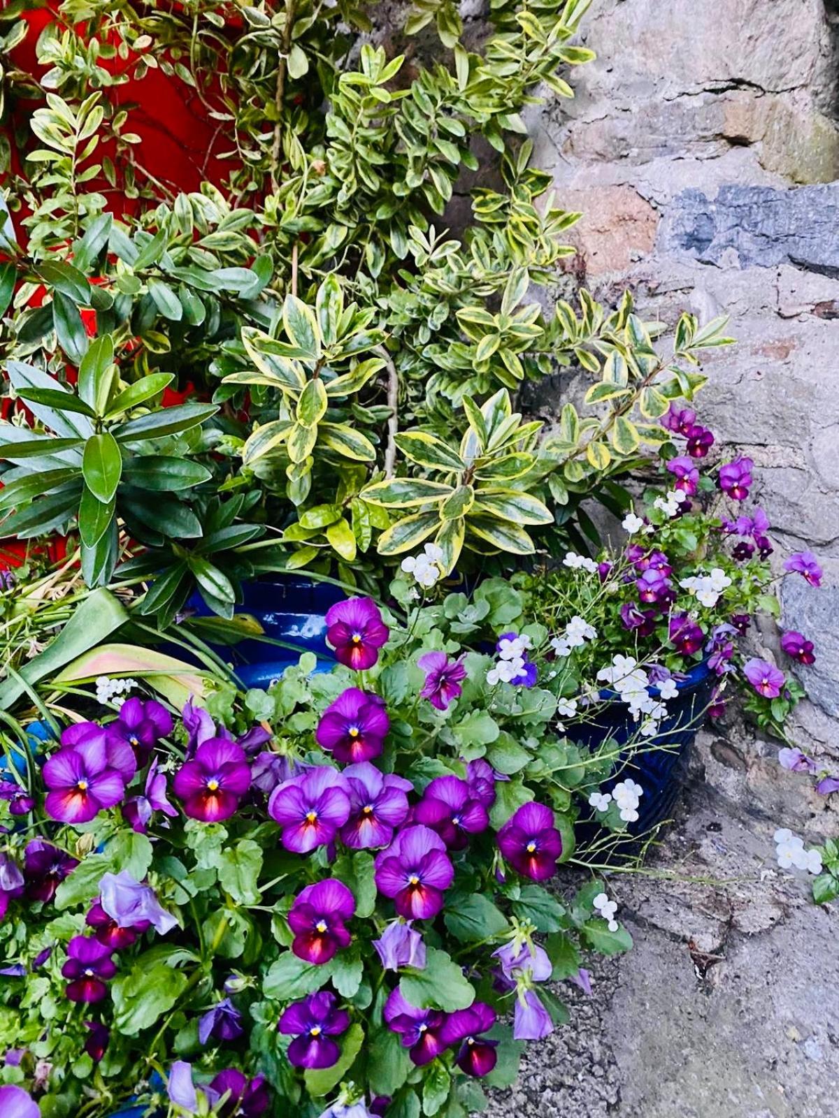 Photo 32