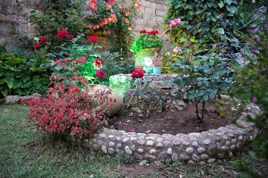 Photo 33