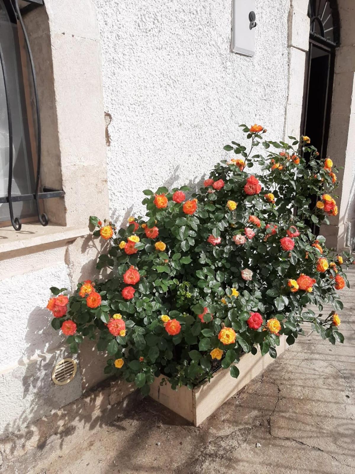 Photo 17