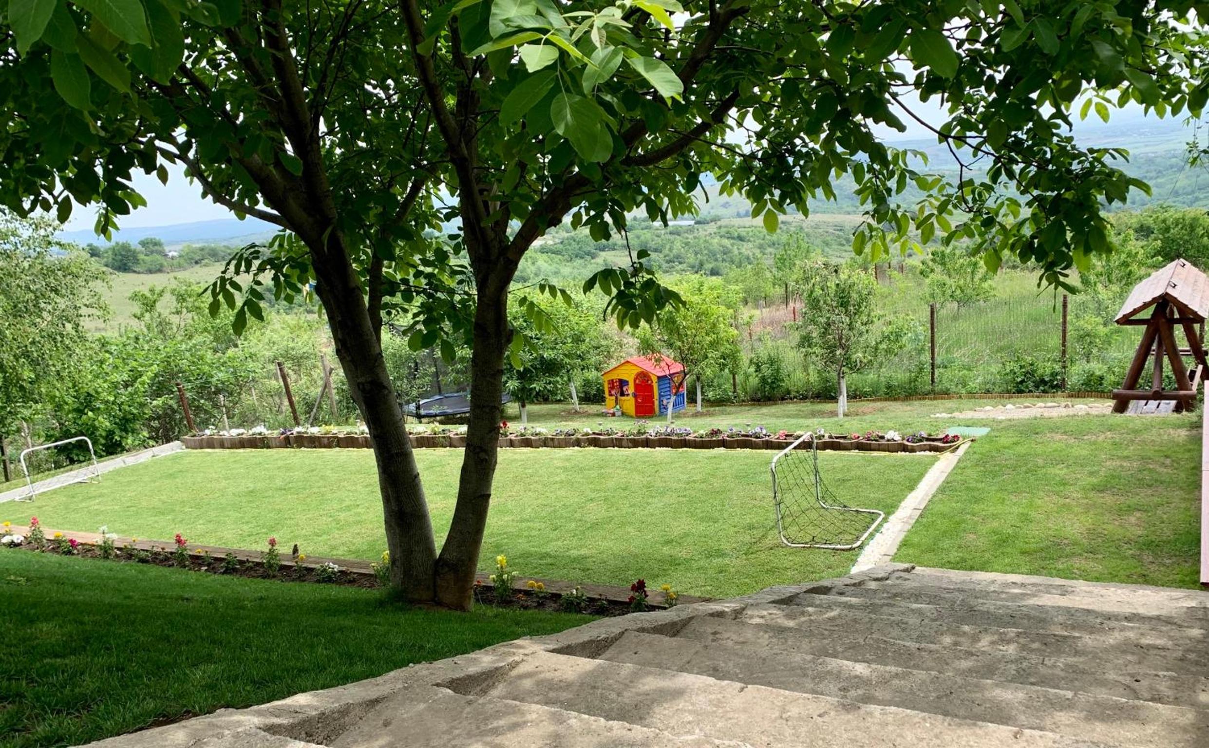 Casuta de pe dealul Seciu view 4