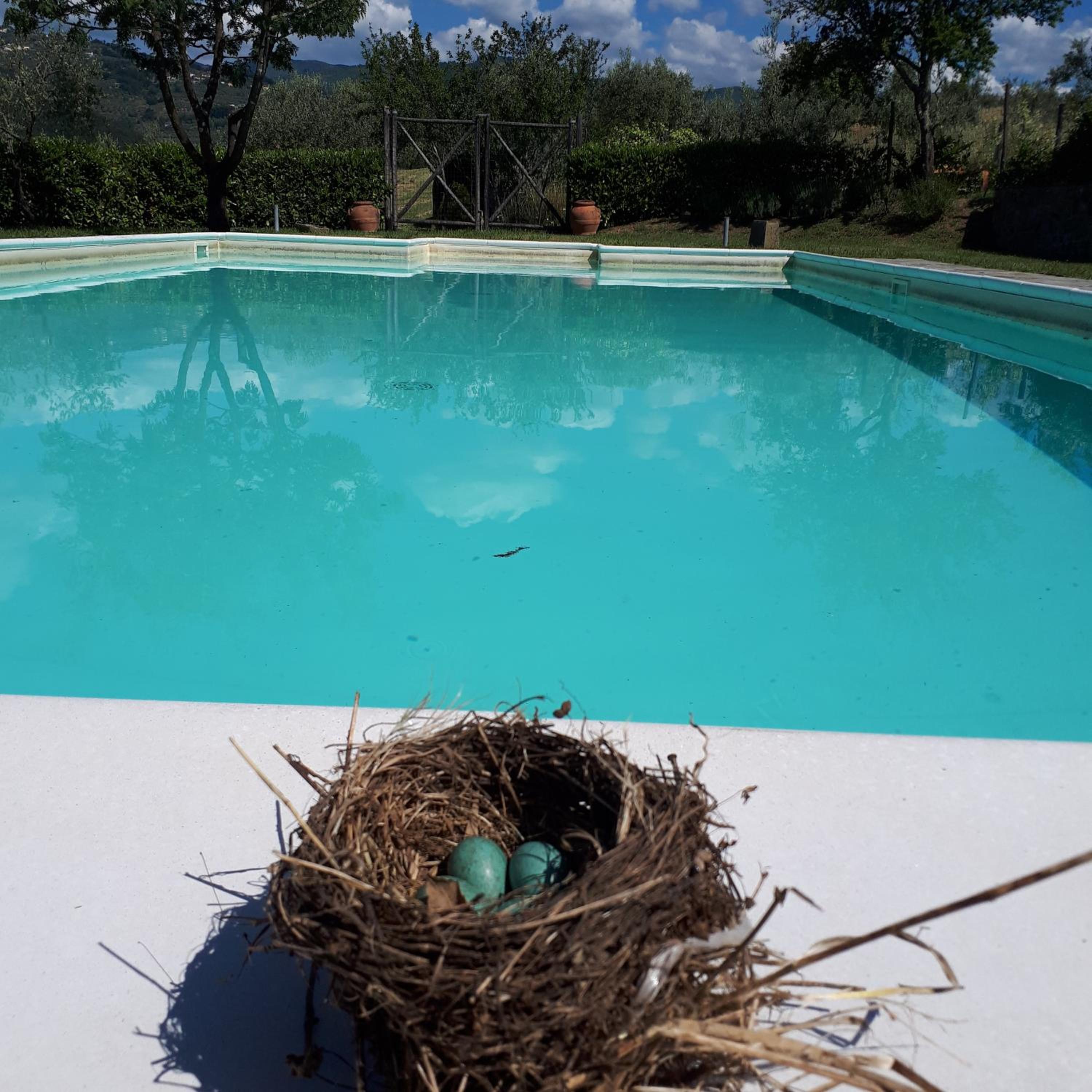 Amedea Tuscany Country Experience