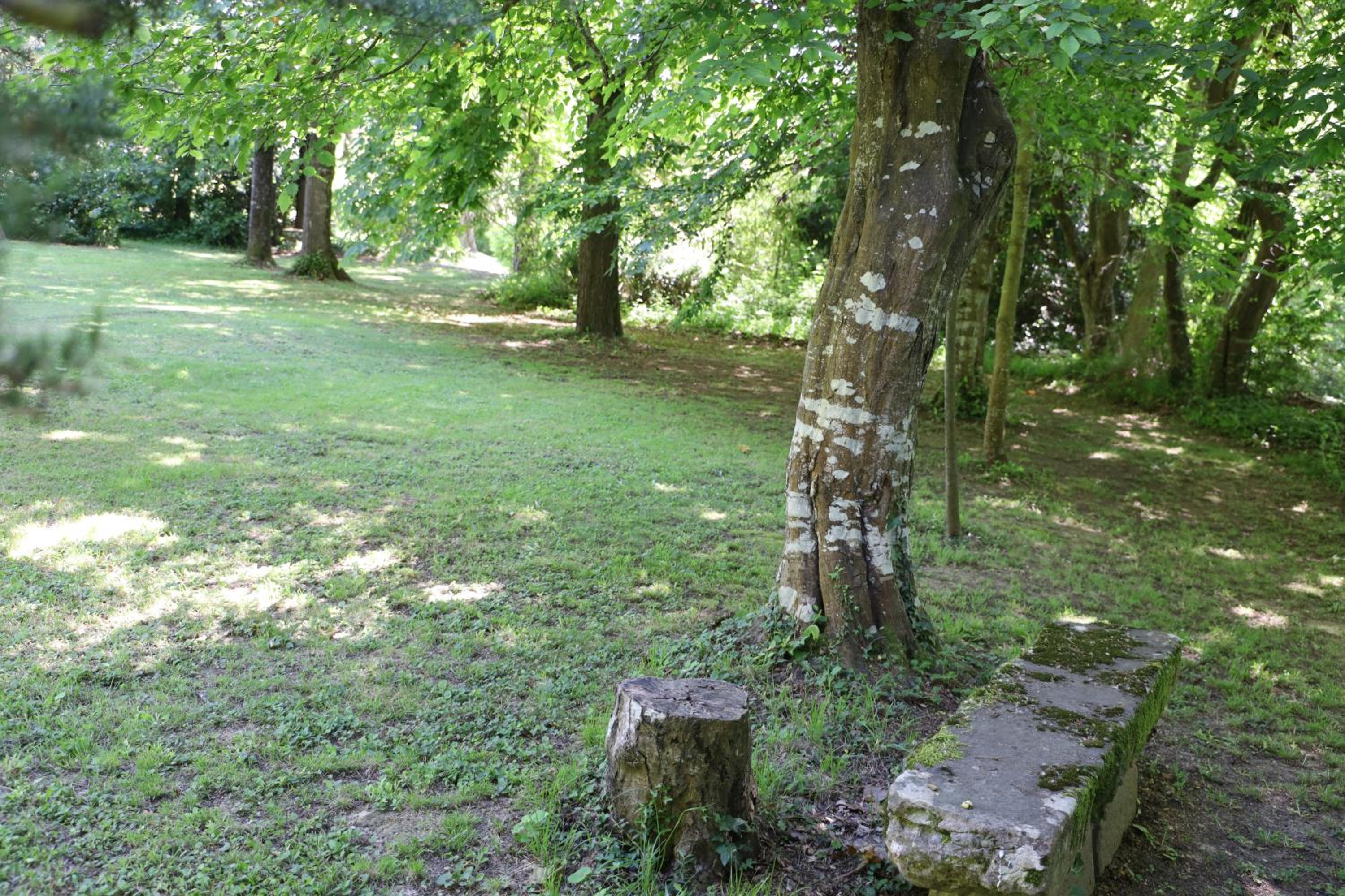 Photo 34