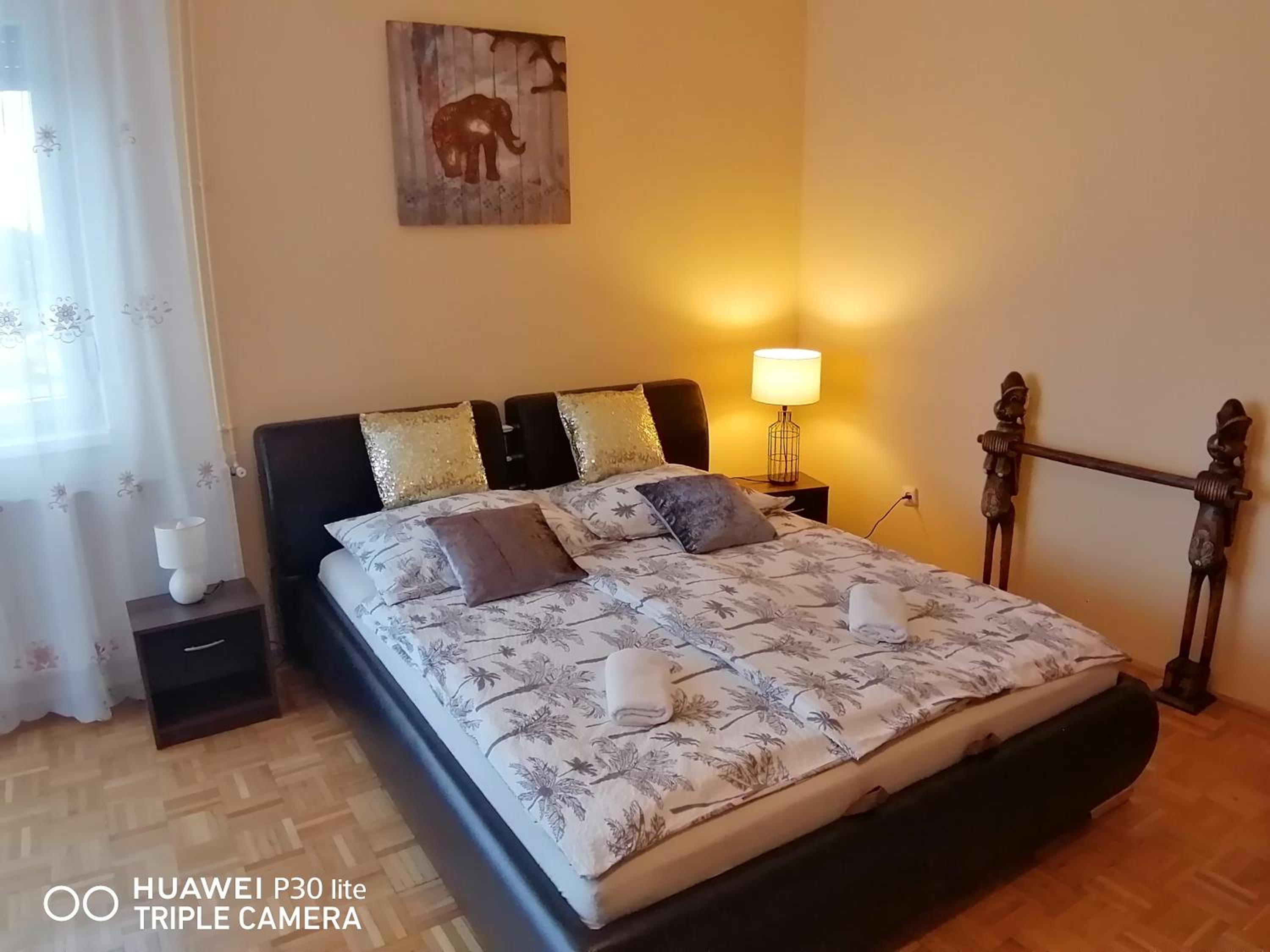 Zöld Béka Hőforrás Apartman view 5