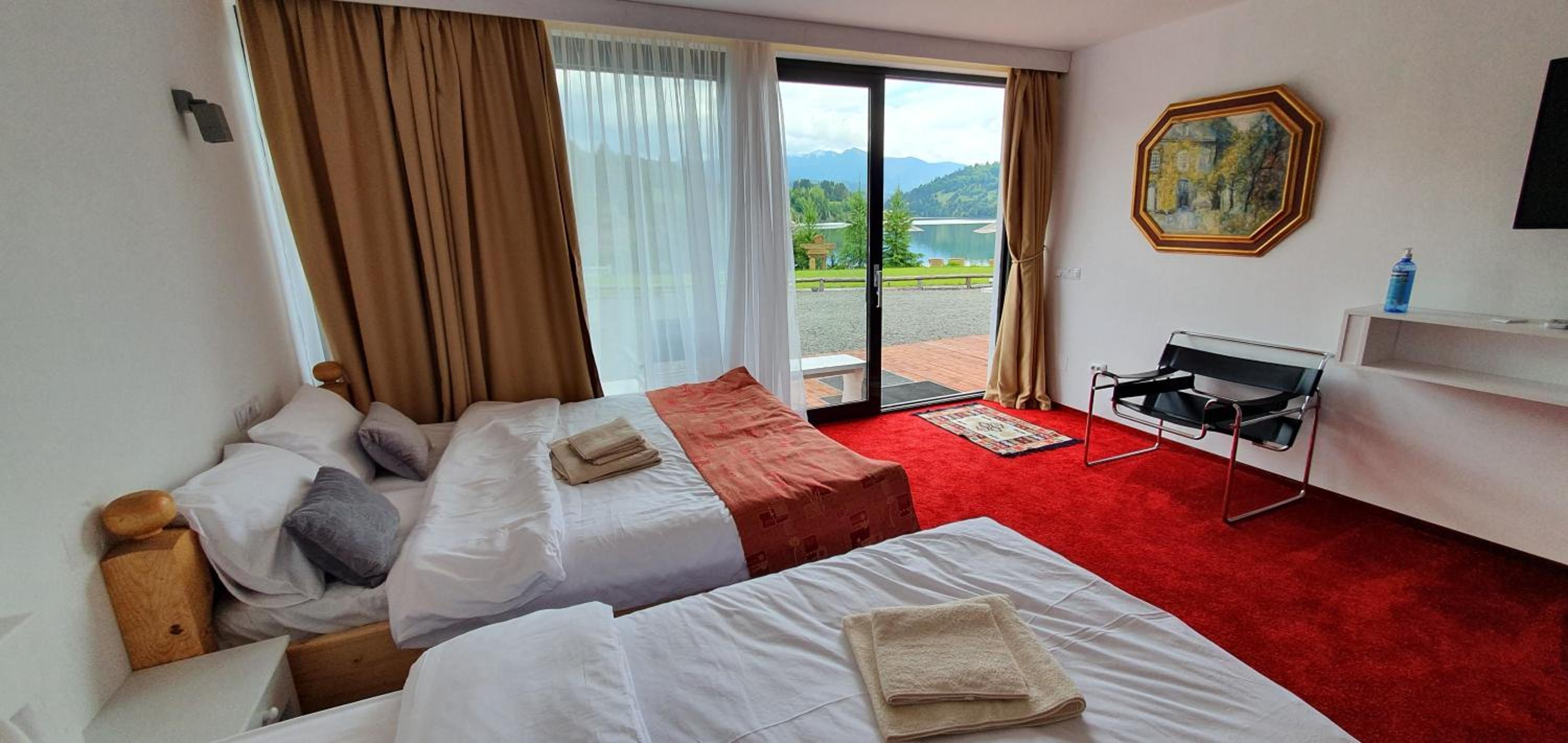 Modern rooms Colibita view 3