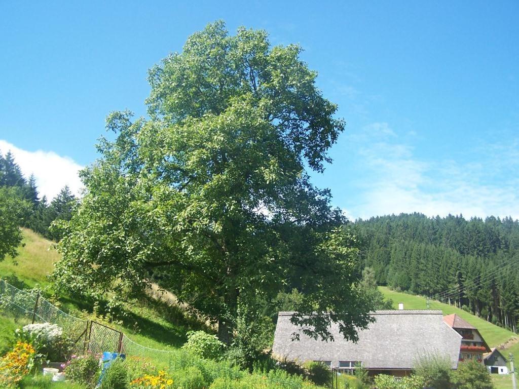 Gästehaus Brigitte Schoch