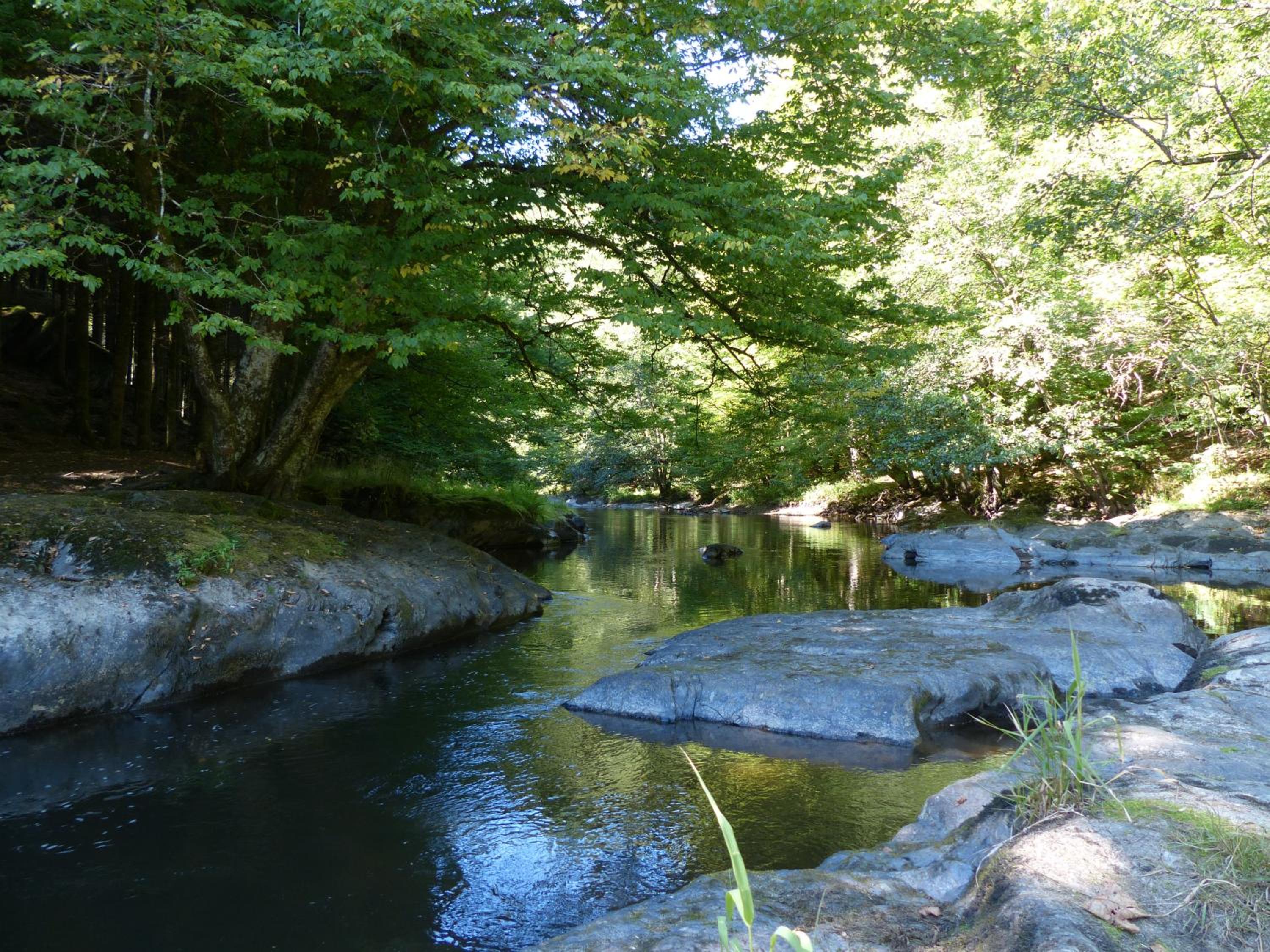 Au bord de l'Eau