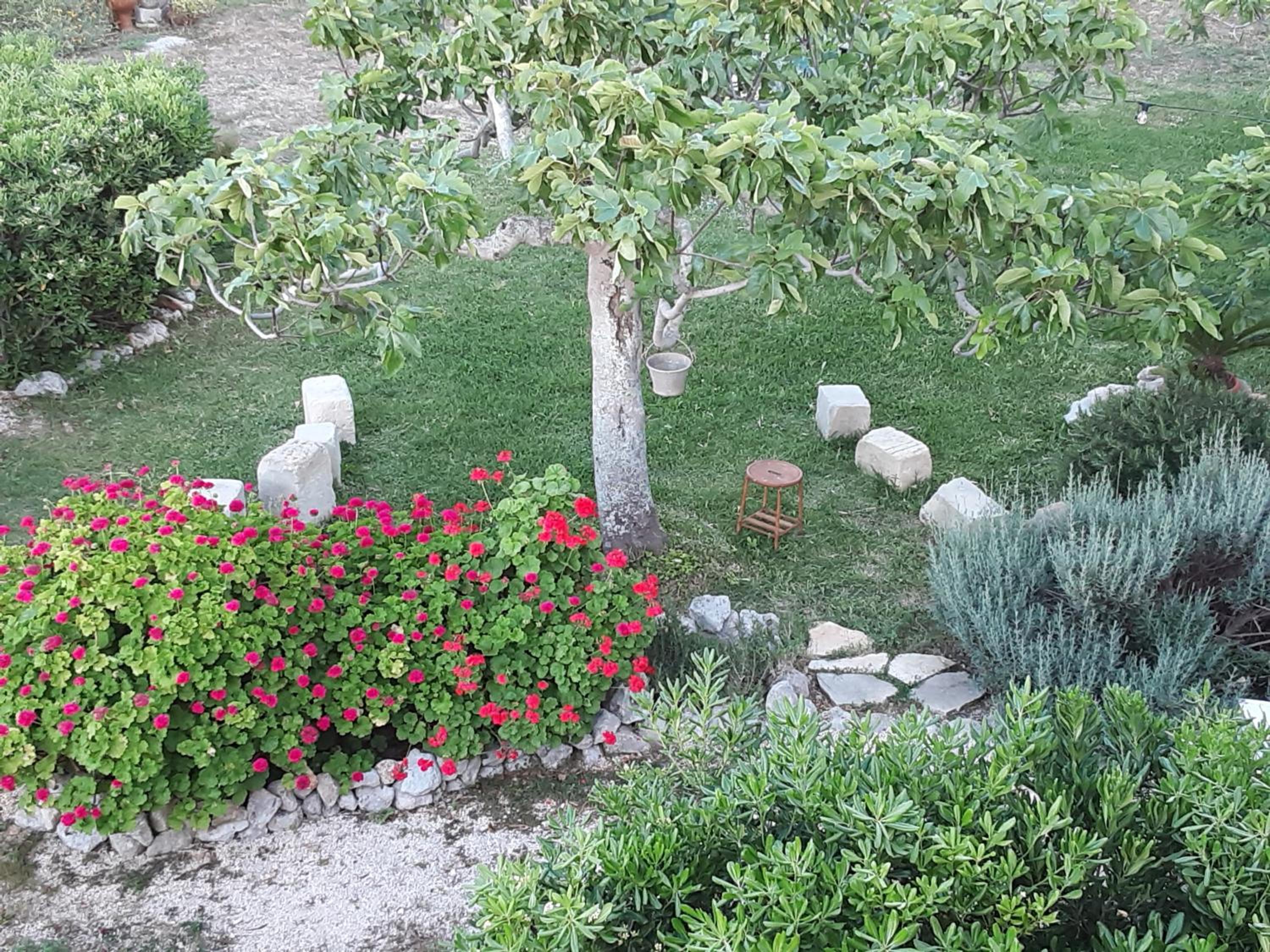 Photo 48
