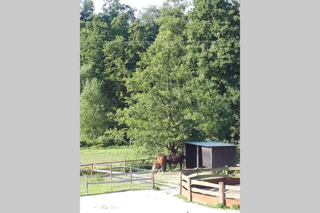 Ferienwohnung Lüttertal view 2