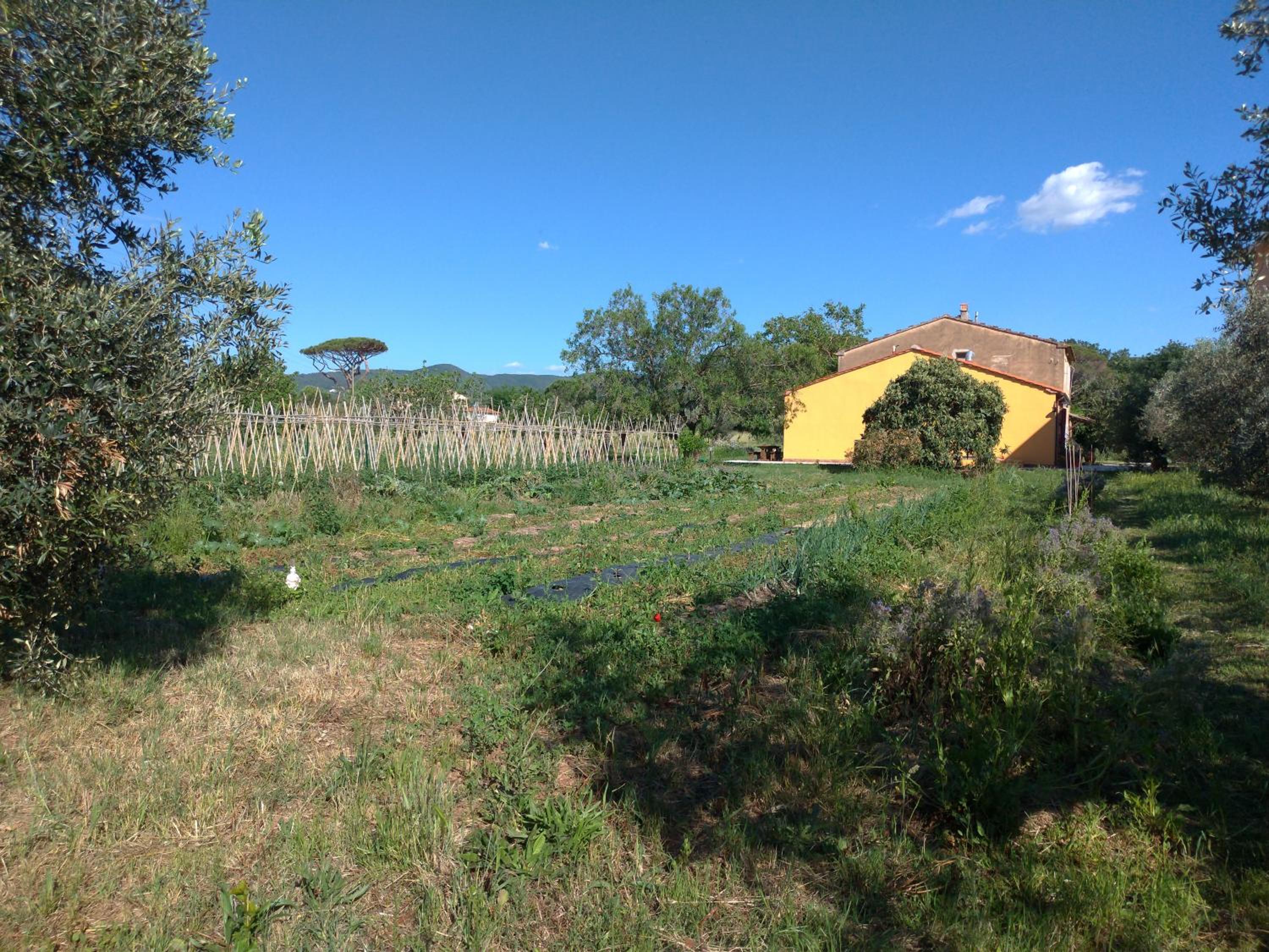Casa Adele