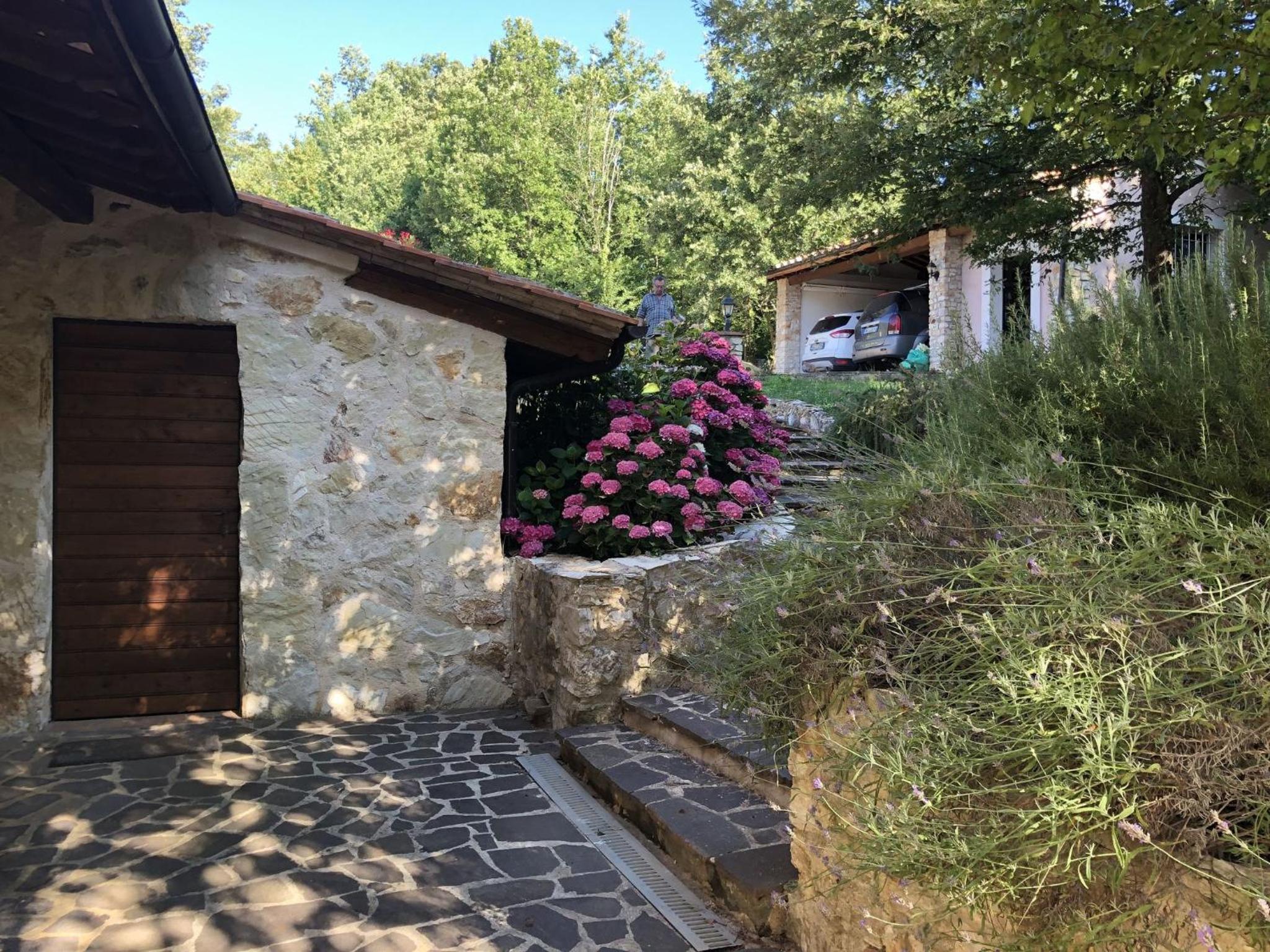 Photo 21